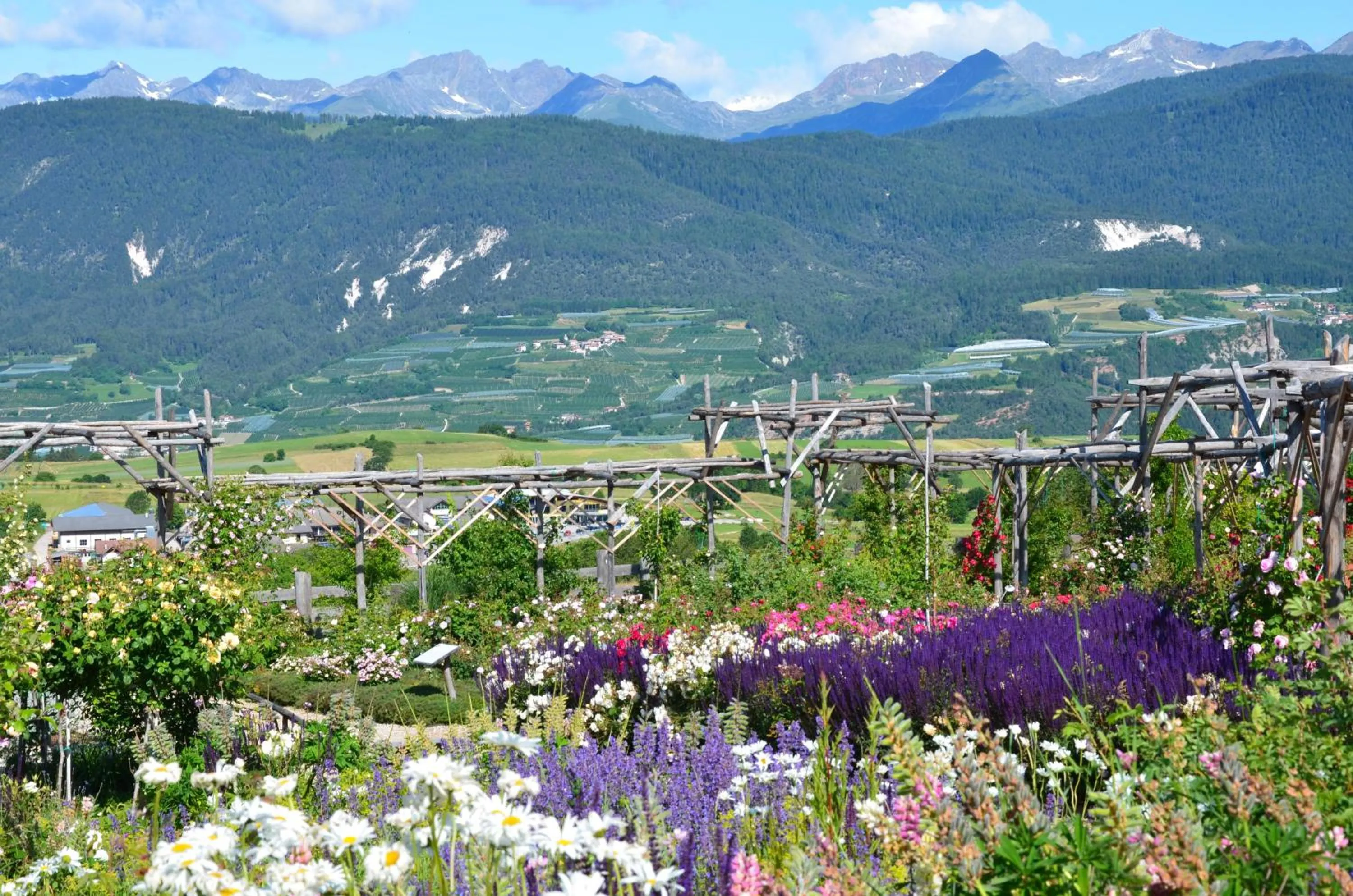 Wellness e Resort Stella Delle Alpi