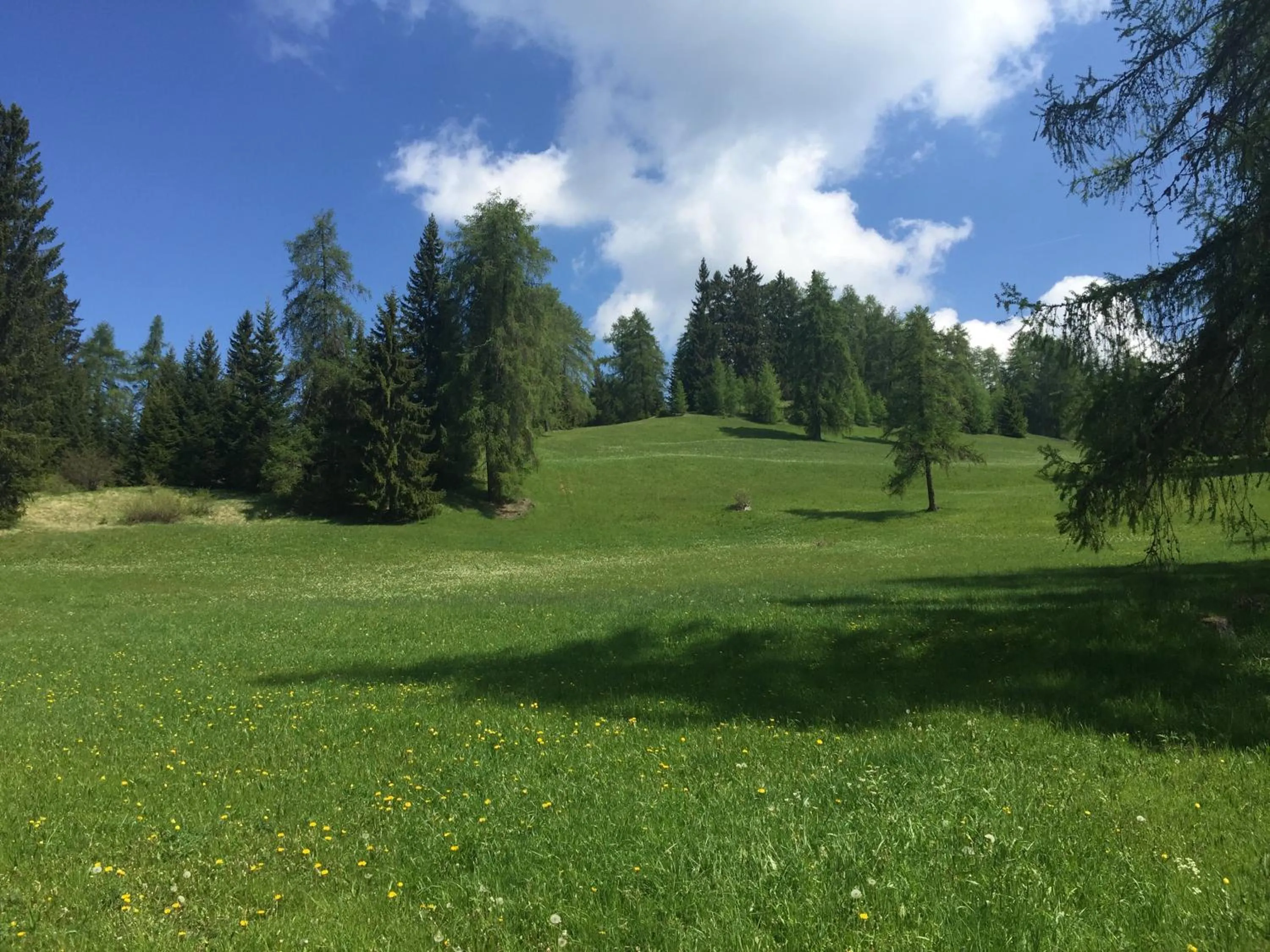 Wellness e Resort Stella Delle Alpi