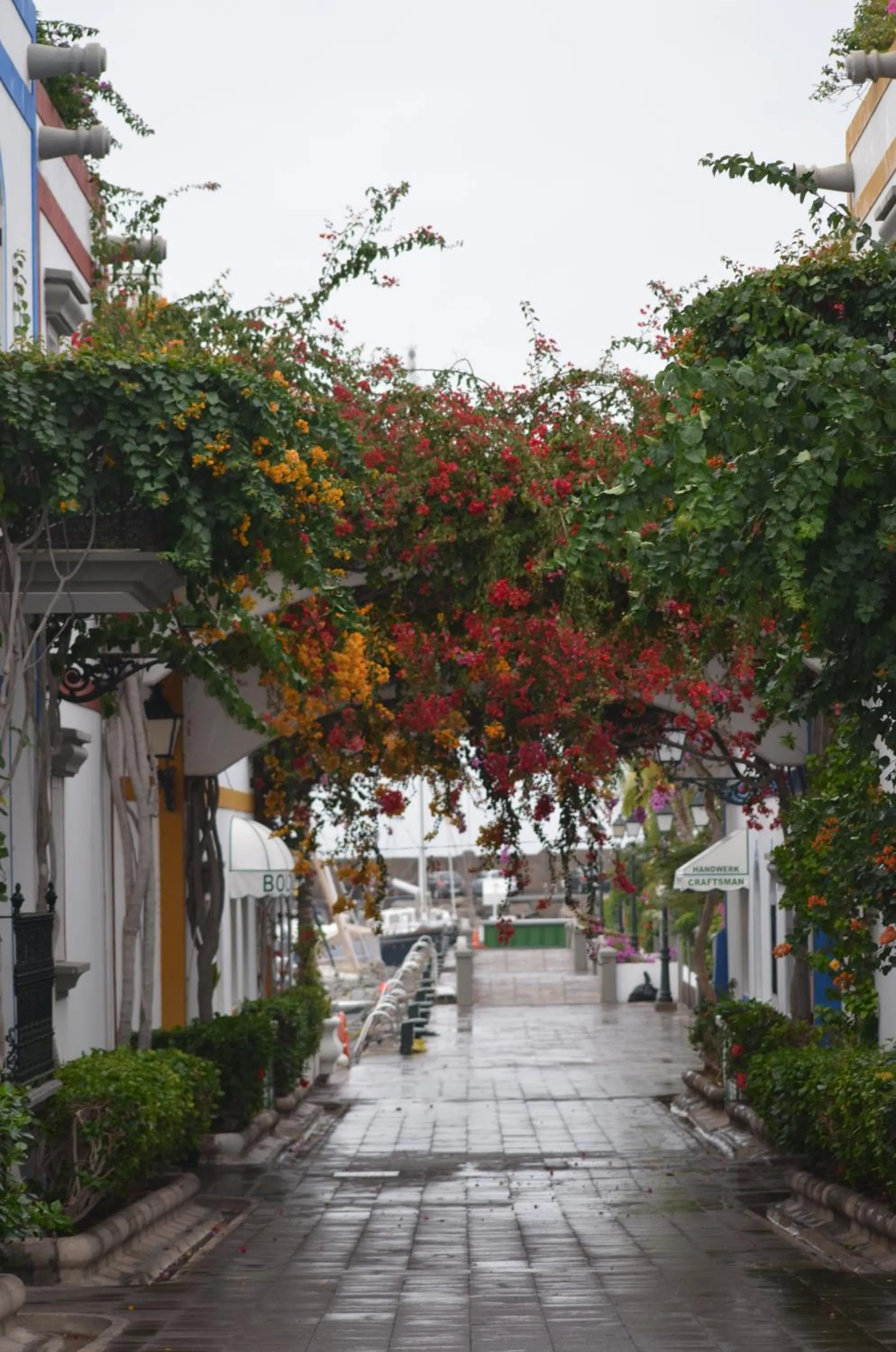 Area and facilities in Pension Eva