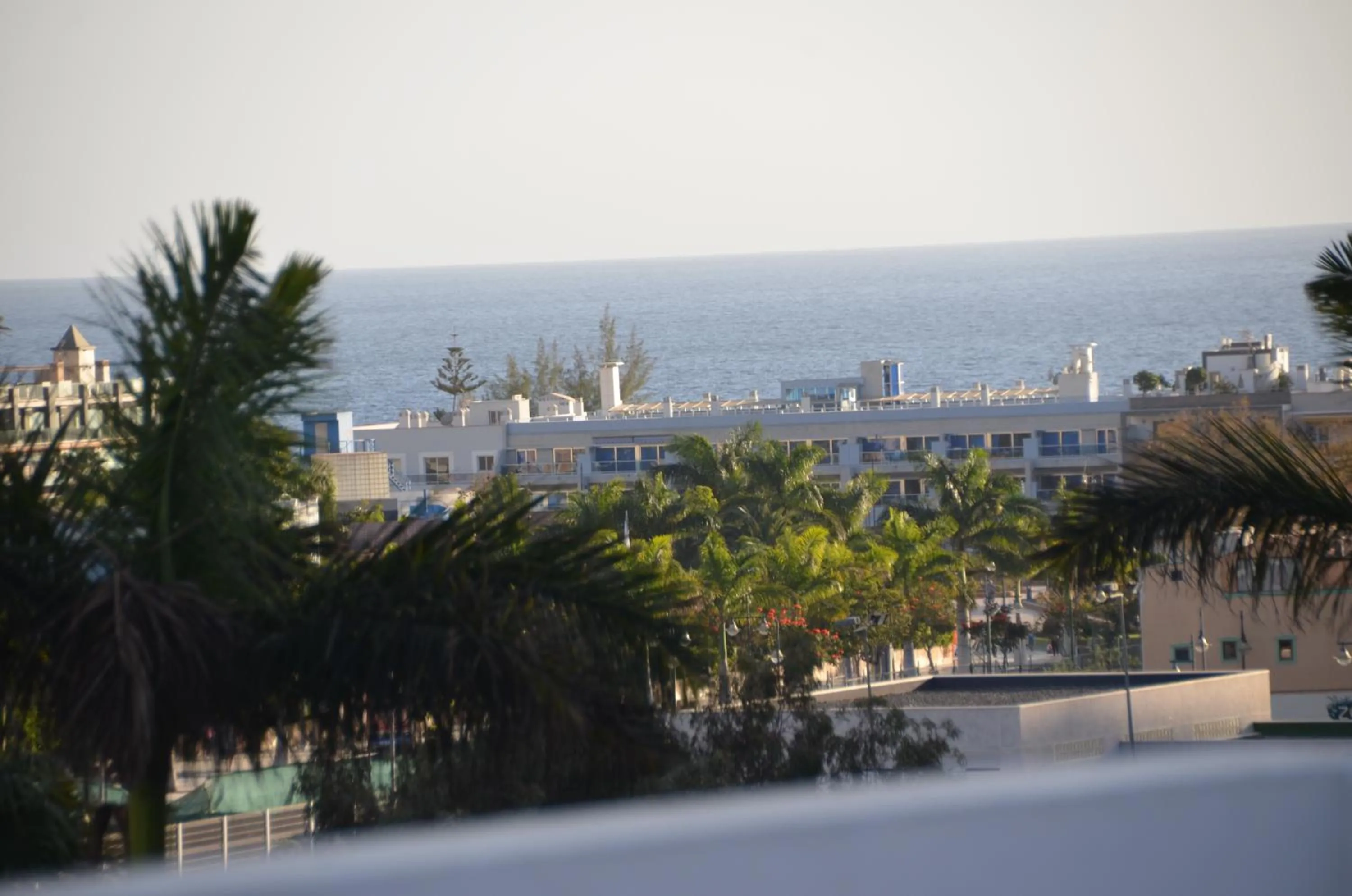 Area and facilities in Pension Eva