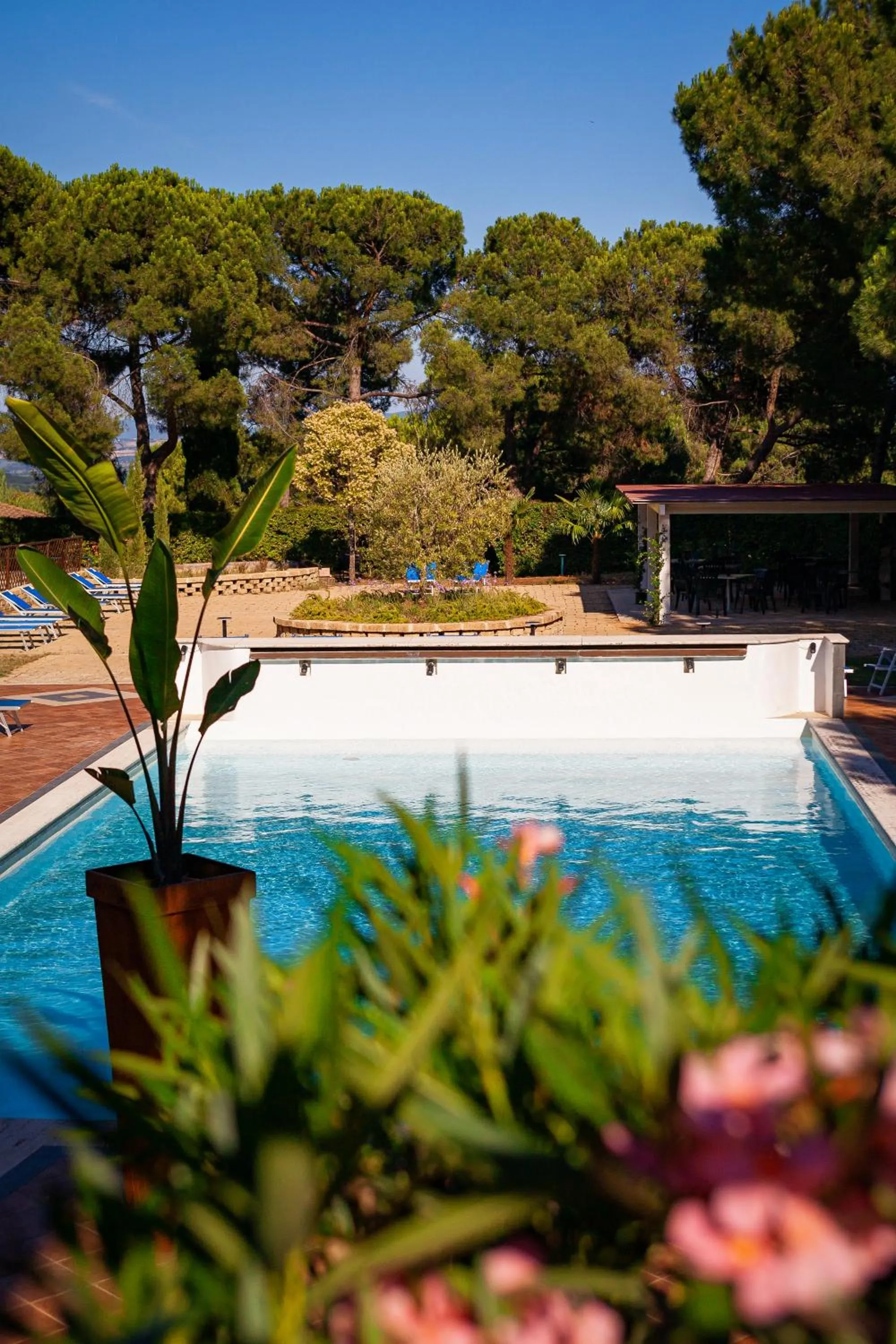 Swimming pool in Fortuna Resort