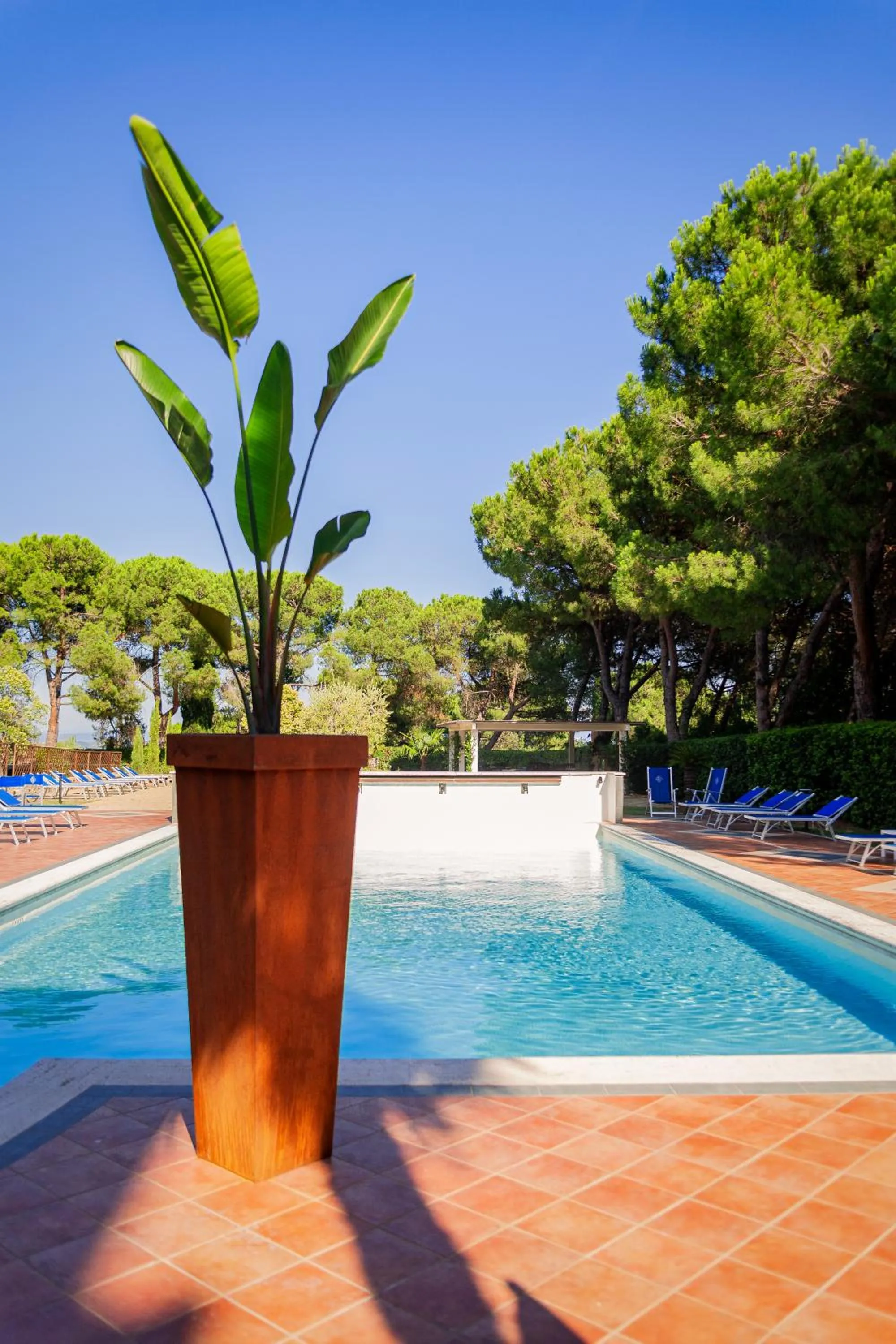 Swimming pool in Fortuna Resort