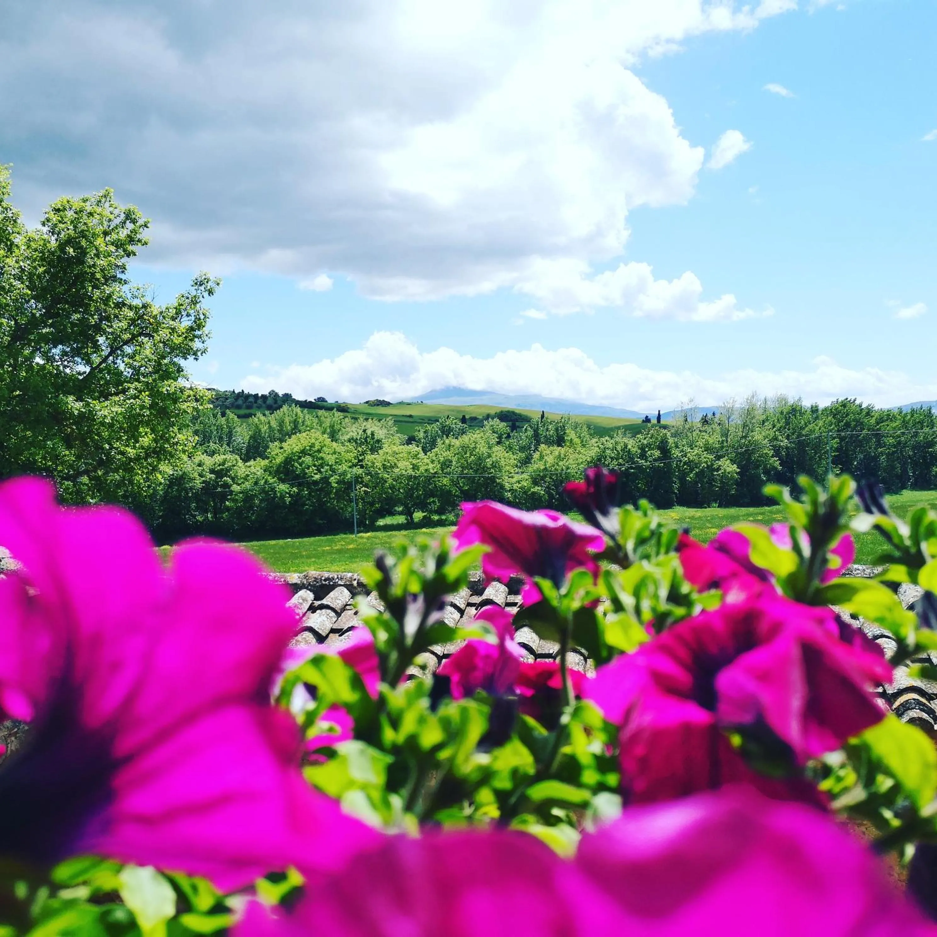 Agriturismo Casalpiano