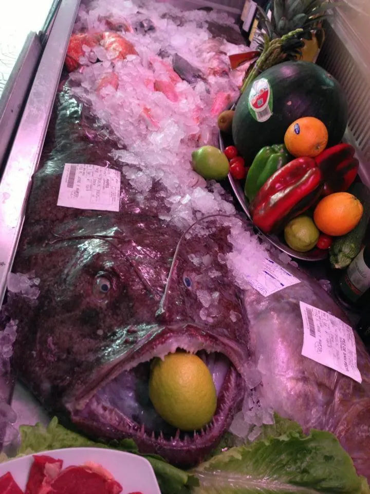 Food in Hotel Mi Casa