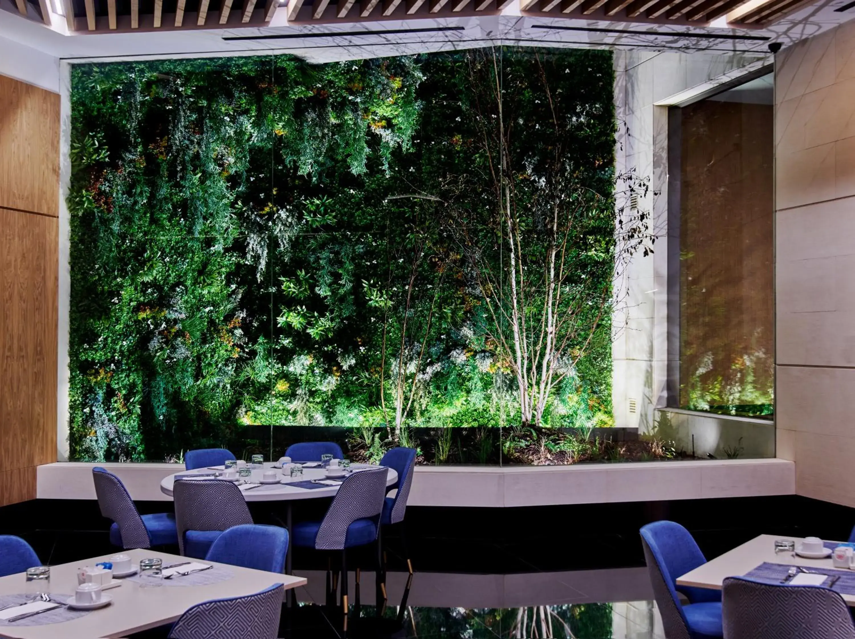 Restaurant/places to eat in Hotel MyPalace León Restaurant/places to eat in Hotel MyPalace León