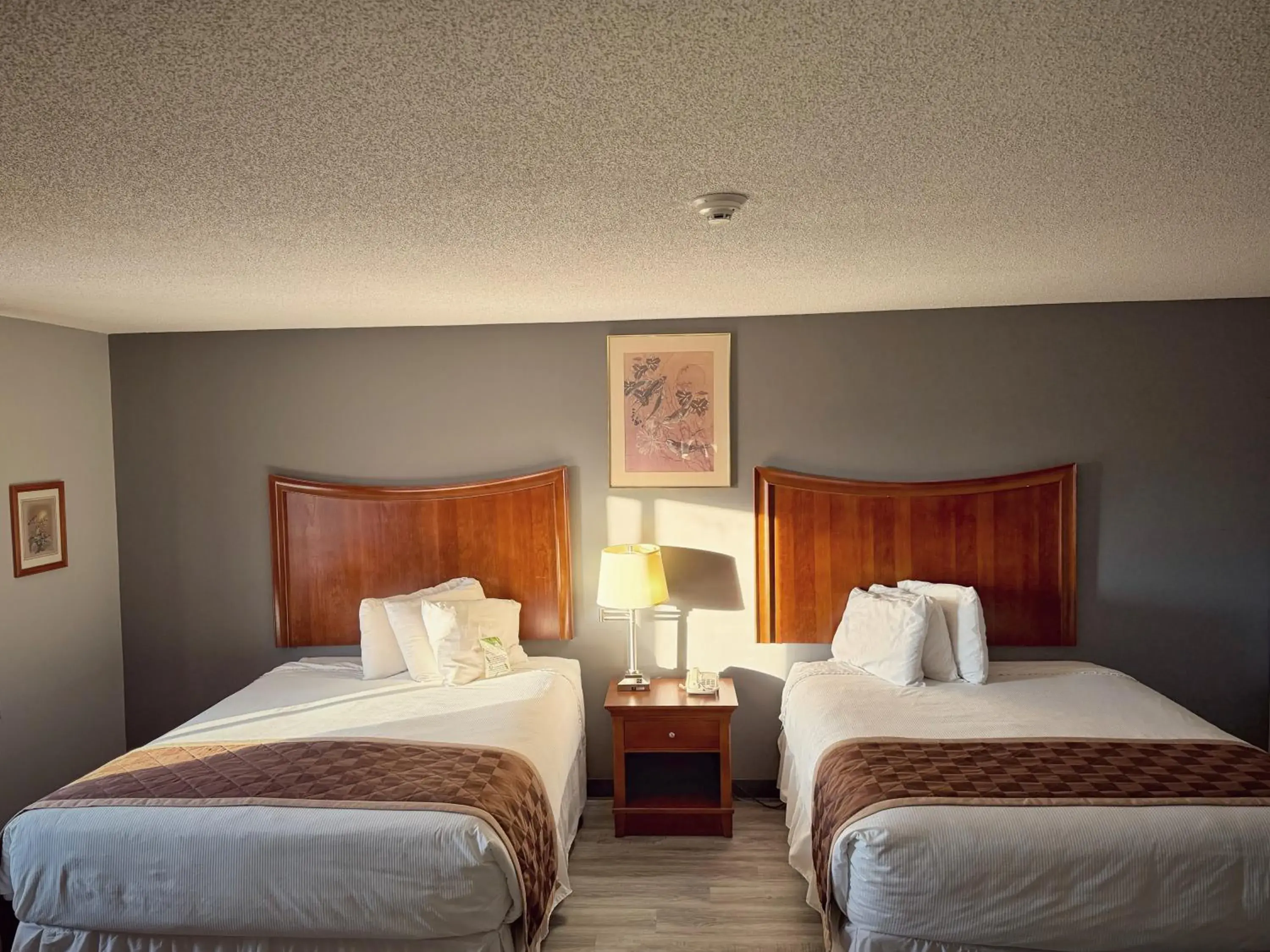 Bed in Lake Tree Inn & Suites Bed in Lake Tree Inn & Suites