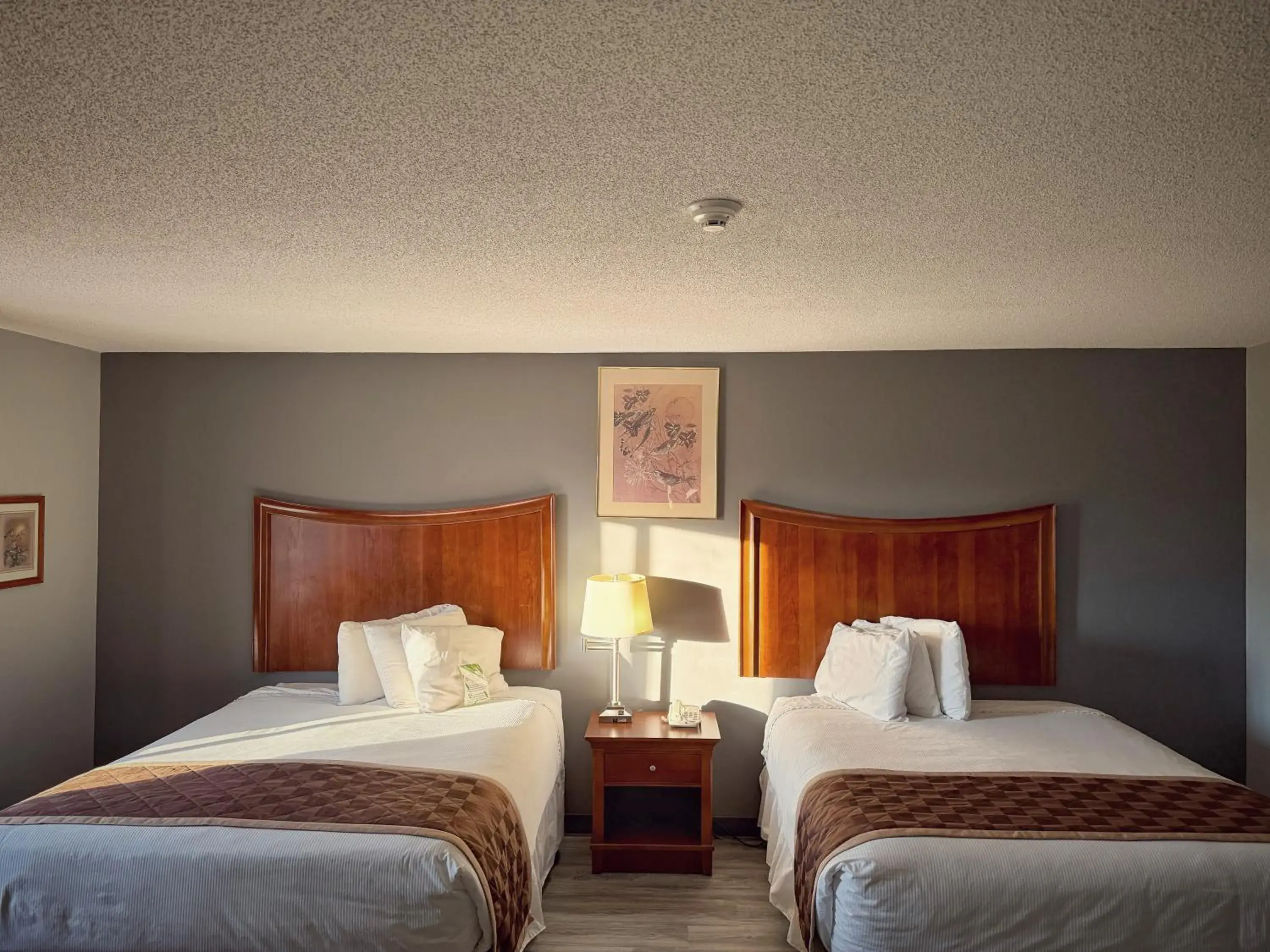 Bed in Lake Tree Inn & Suites Bed in Lake Tree Inn & Suites