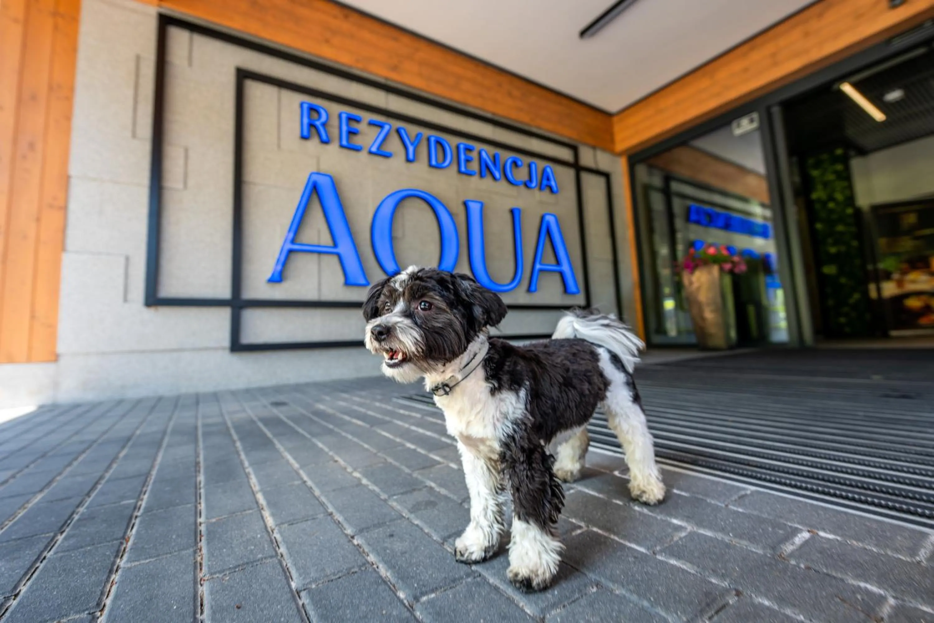 Pets in Rezydencja AQUA by GRANO