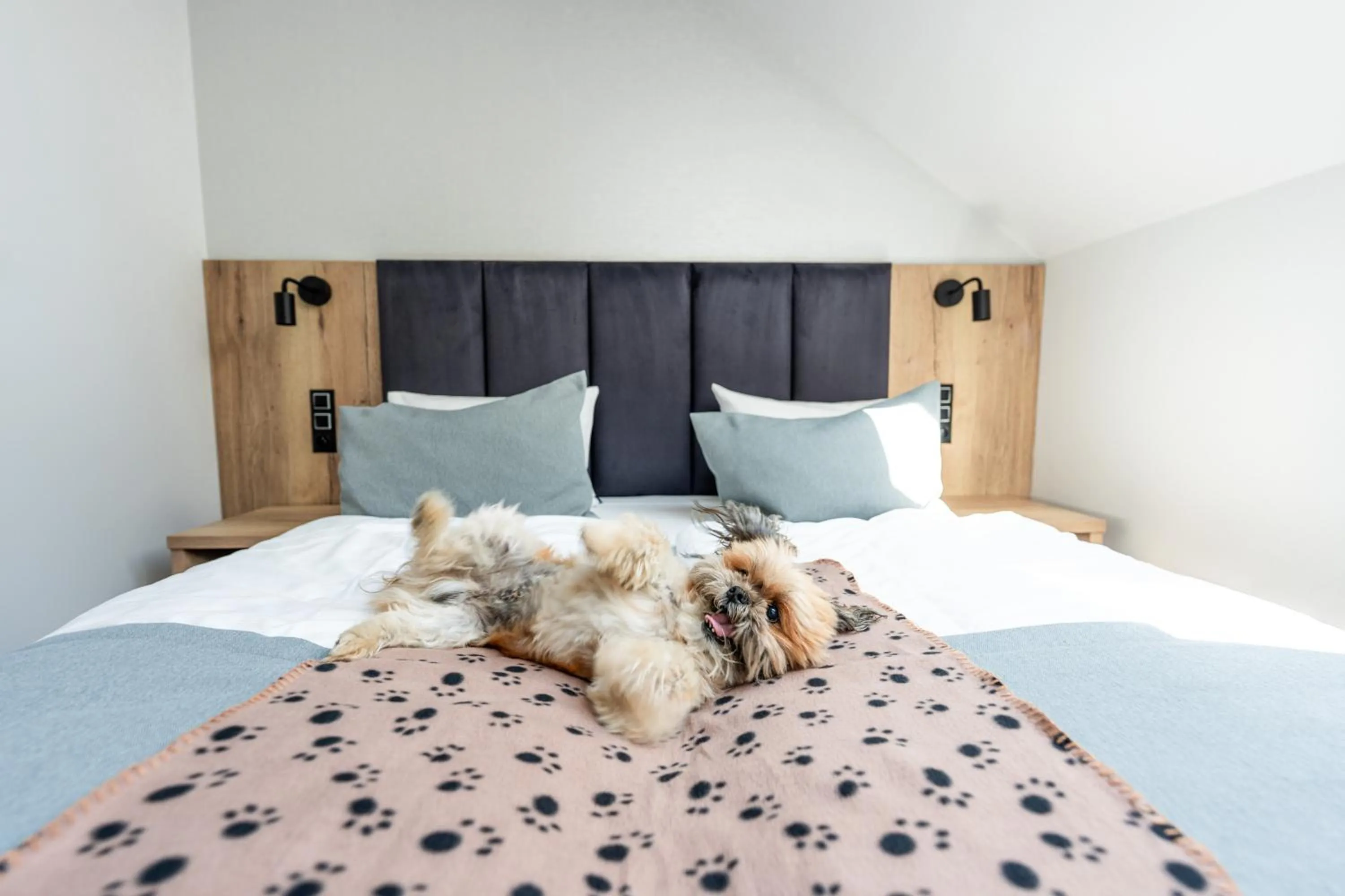 Bed in Rezydencja AQUA by GRANO