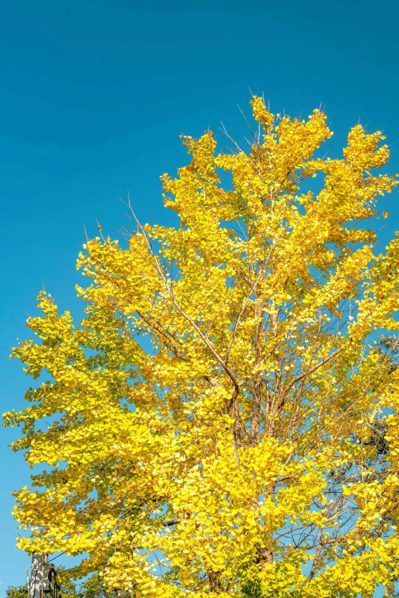 Nearby landmark in Crowne Plaza Kunming City Centre by IHG