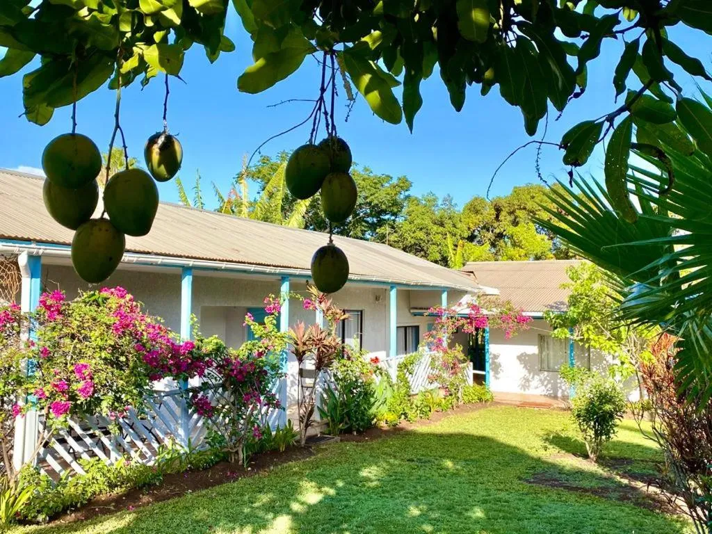 Garden in Kahina Lodge