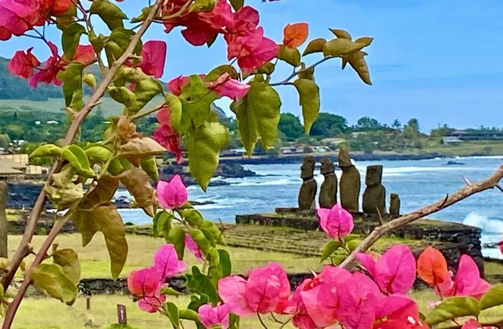 Natural landscape in Kahina Lodge