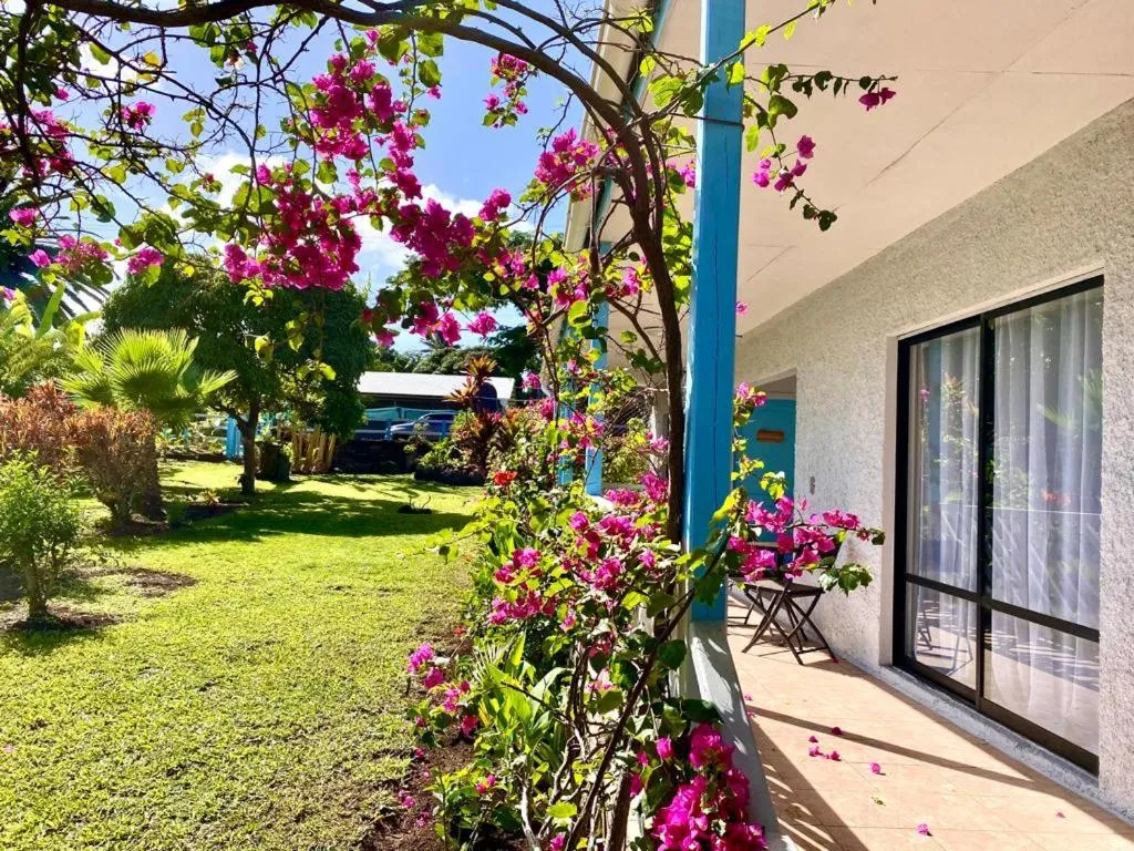 Garden in Kahina Lodge