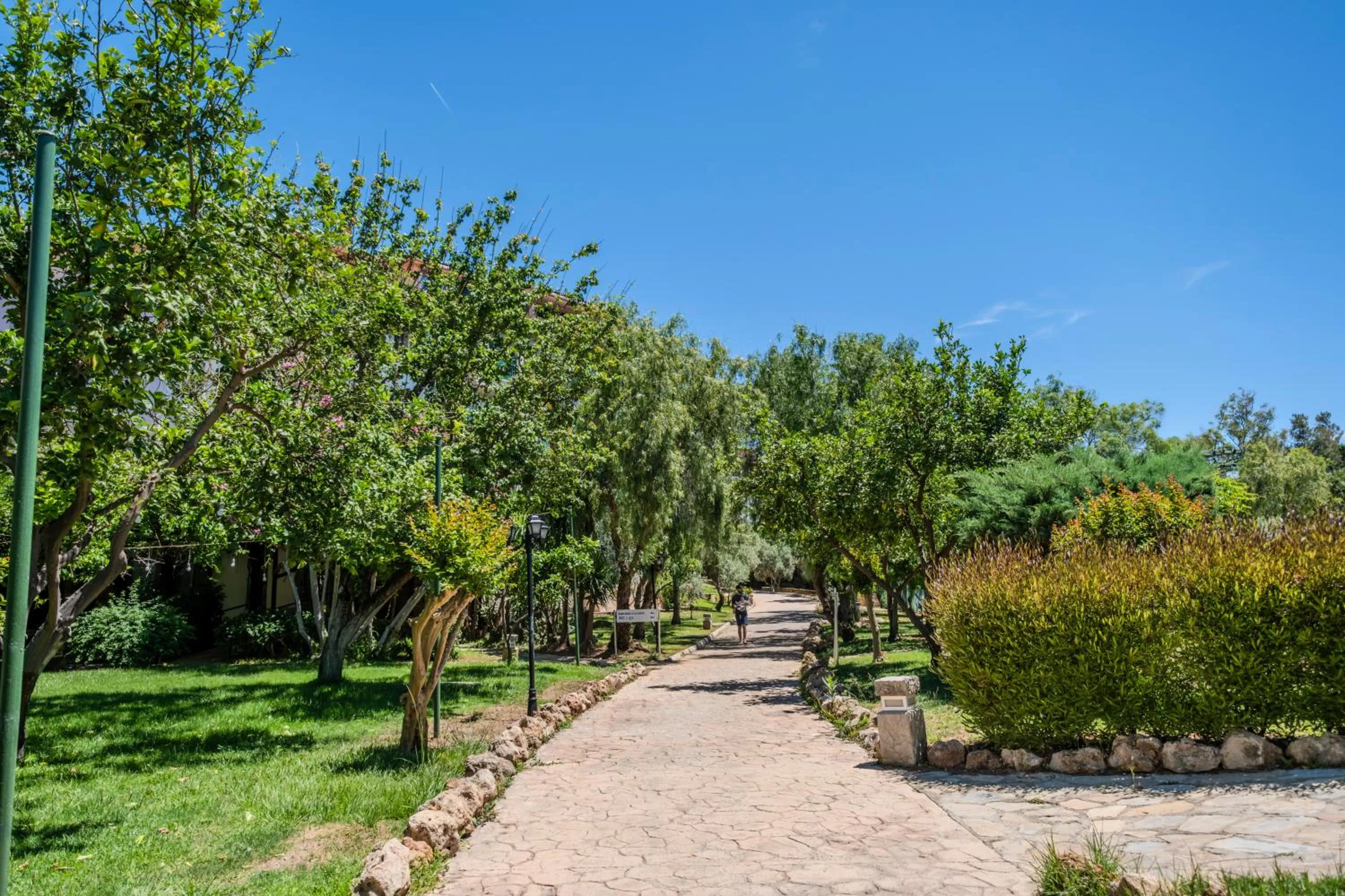 Natural landscape in Belconti Resort Hotel