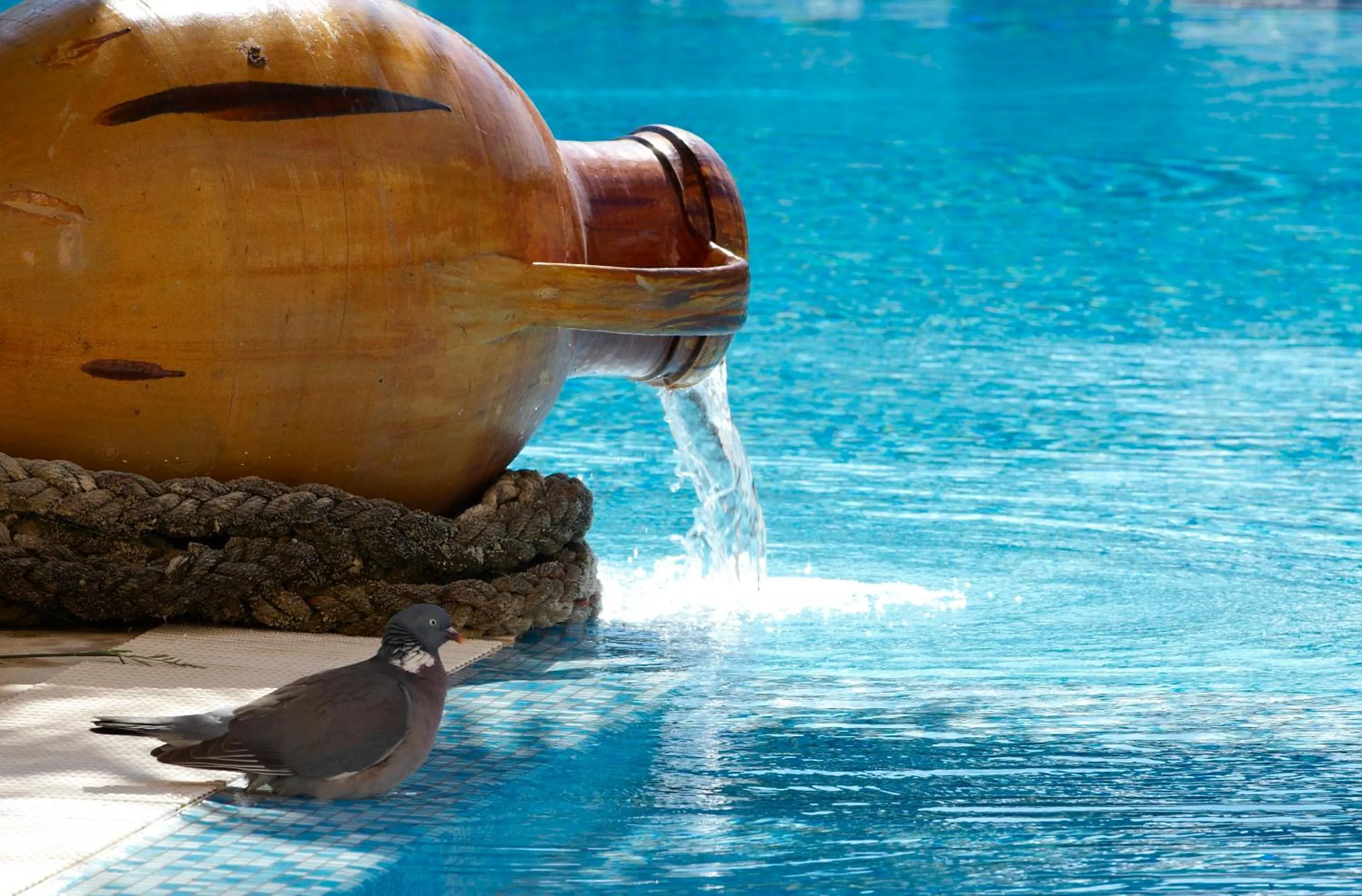 Swimming pool in Hotel Punta Nord Est