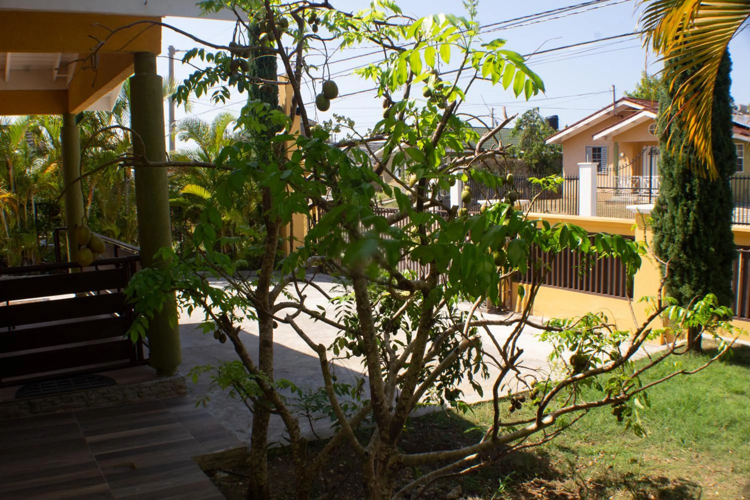 Garden in The Vista Inn