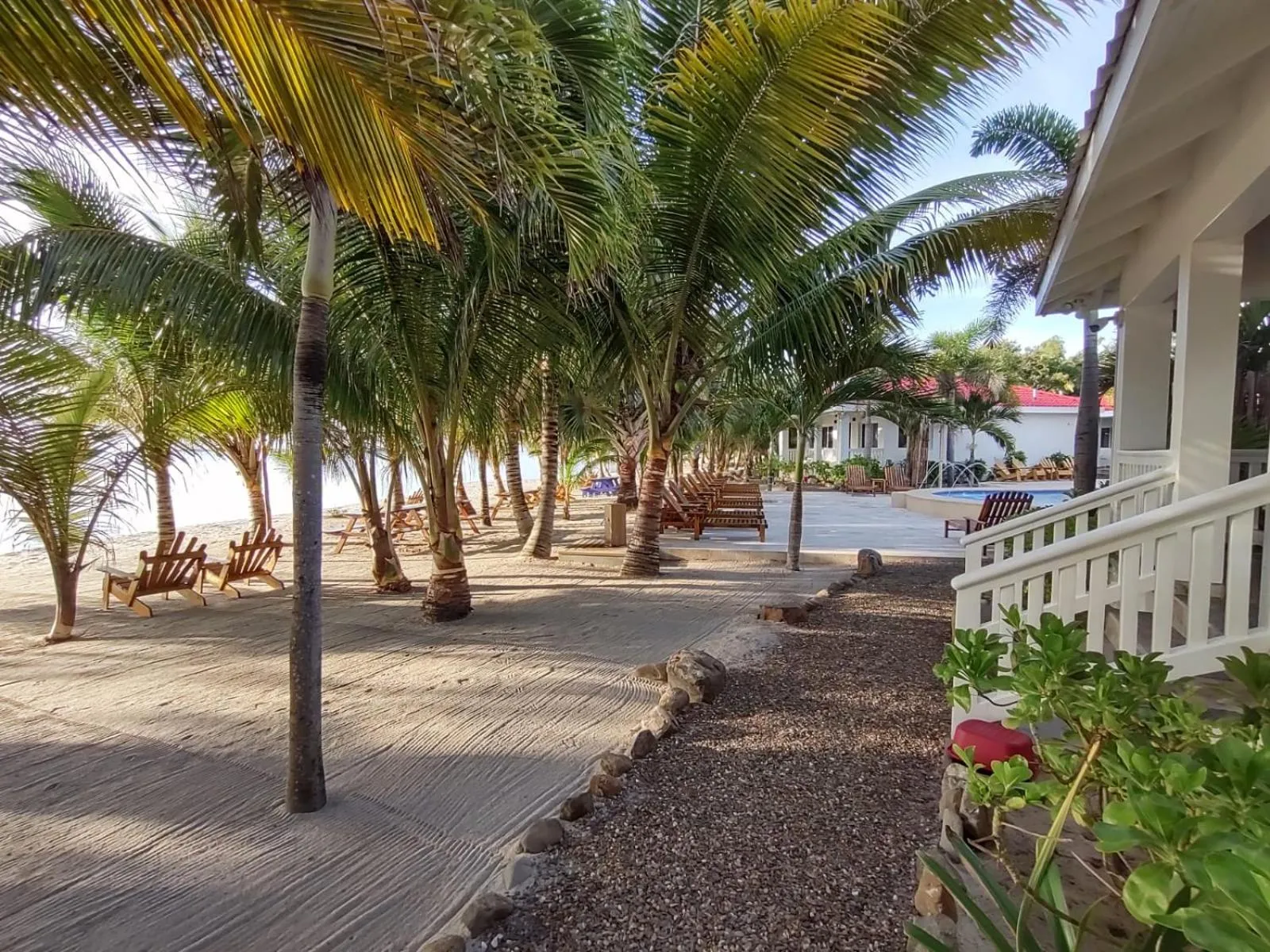 Natural landscape in Ceiba Beach Resort