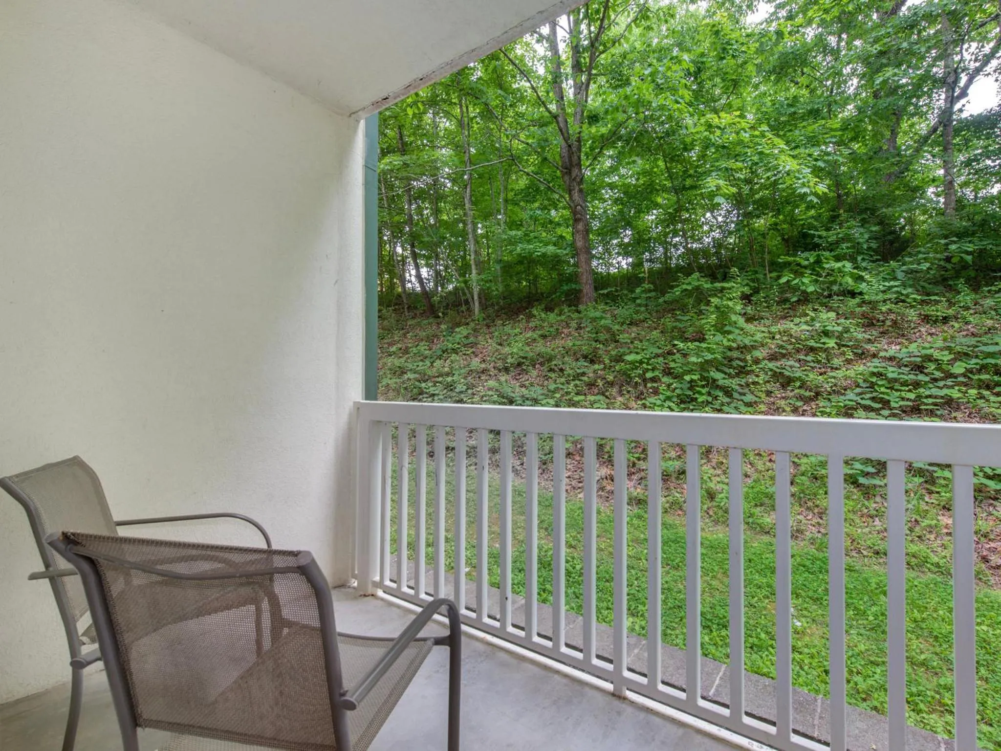 Property building in Smokey Bear 1103