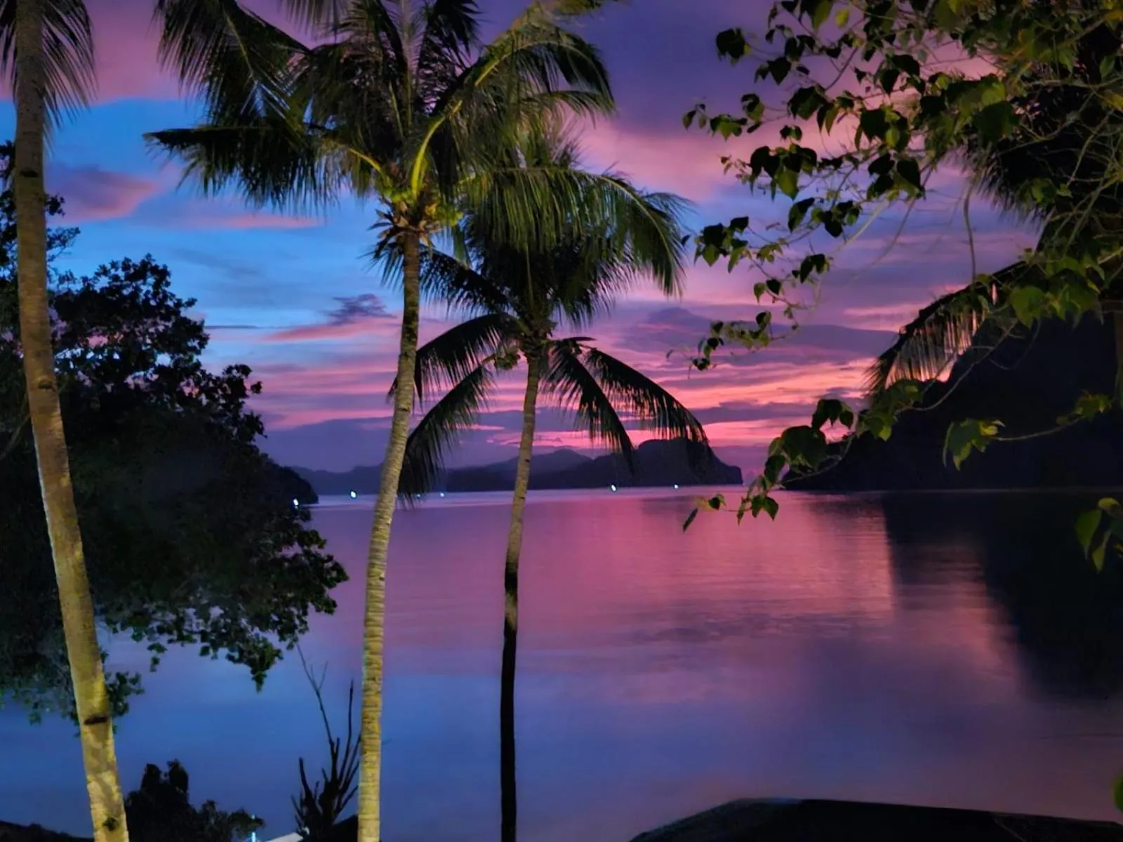 Golden Monkey Beach Hotel