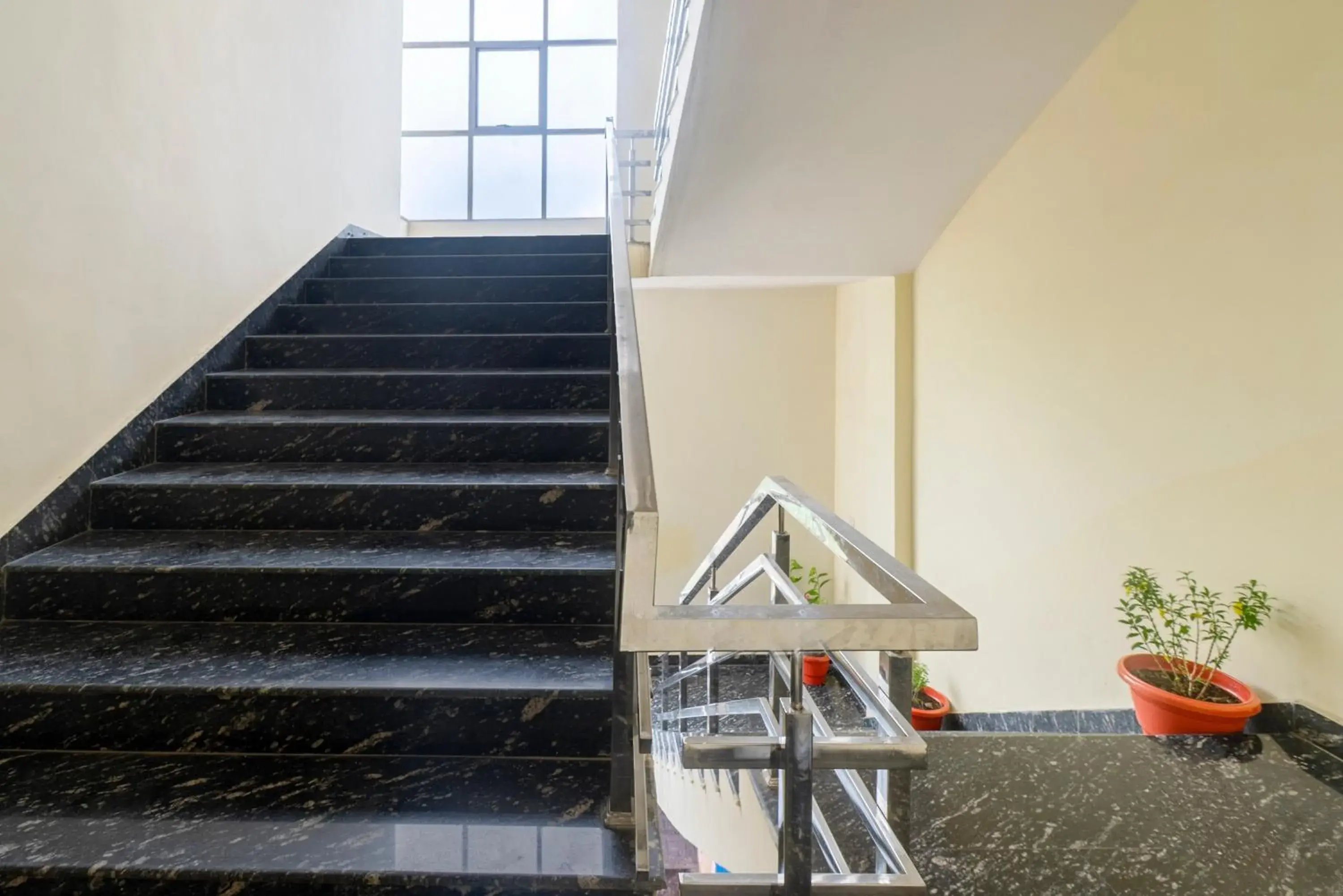 Lobby or reception in Treebo Little Budhha Lobby or reception in Treebo Little Budhha