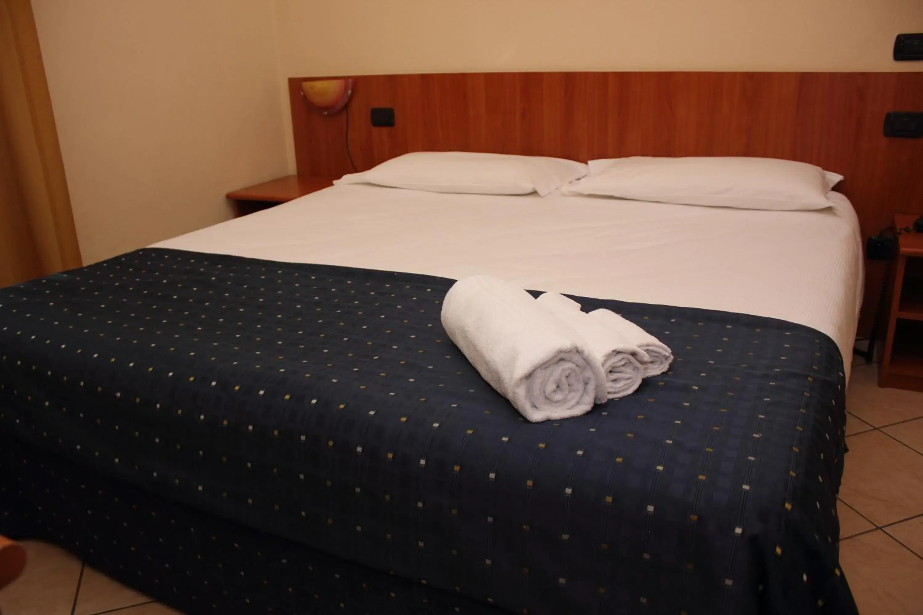 Double or Twin Room in Albergo Hotel Giardino Double or Twin Room in Albergo Hotel Giardino