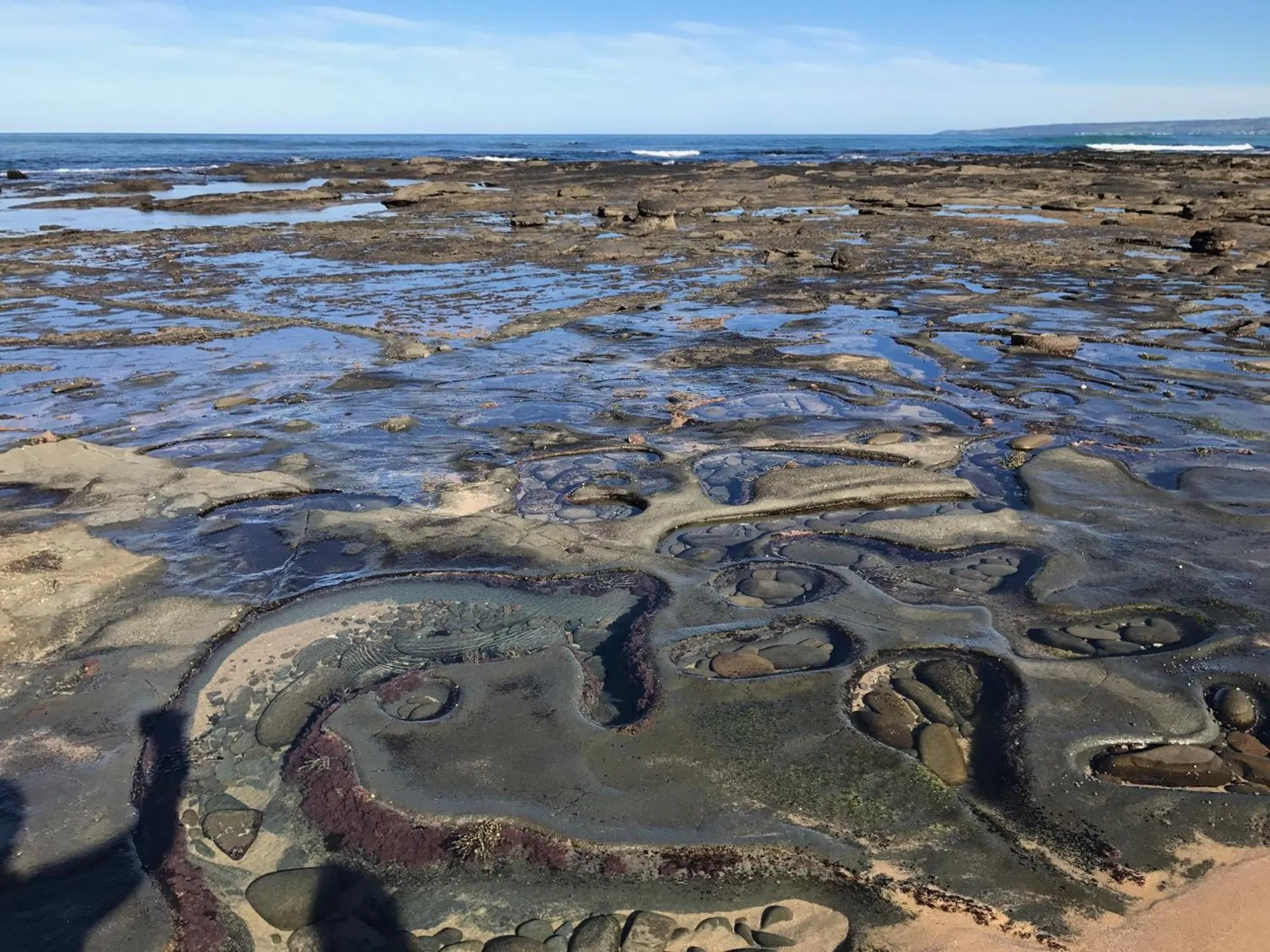 Natural landscape in Seacroft Estate