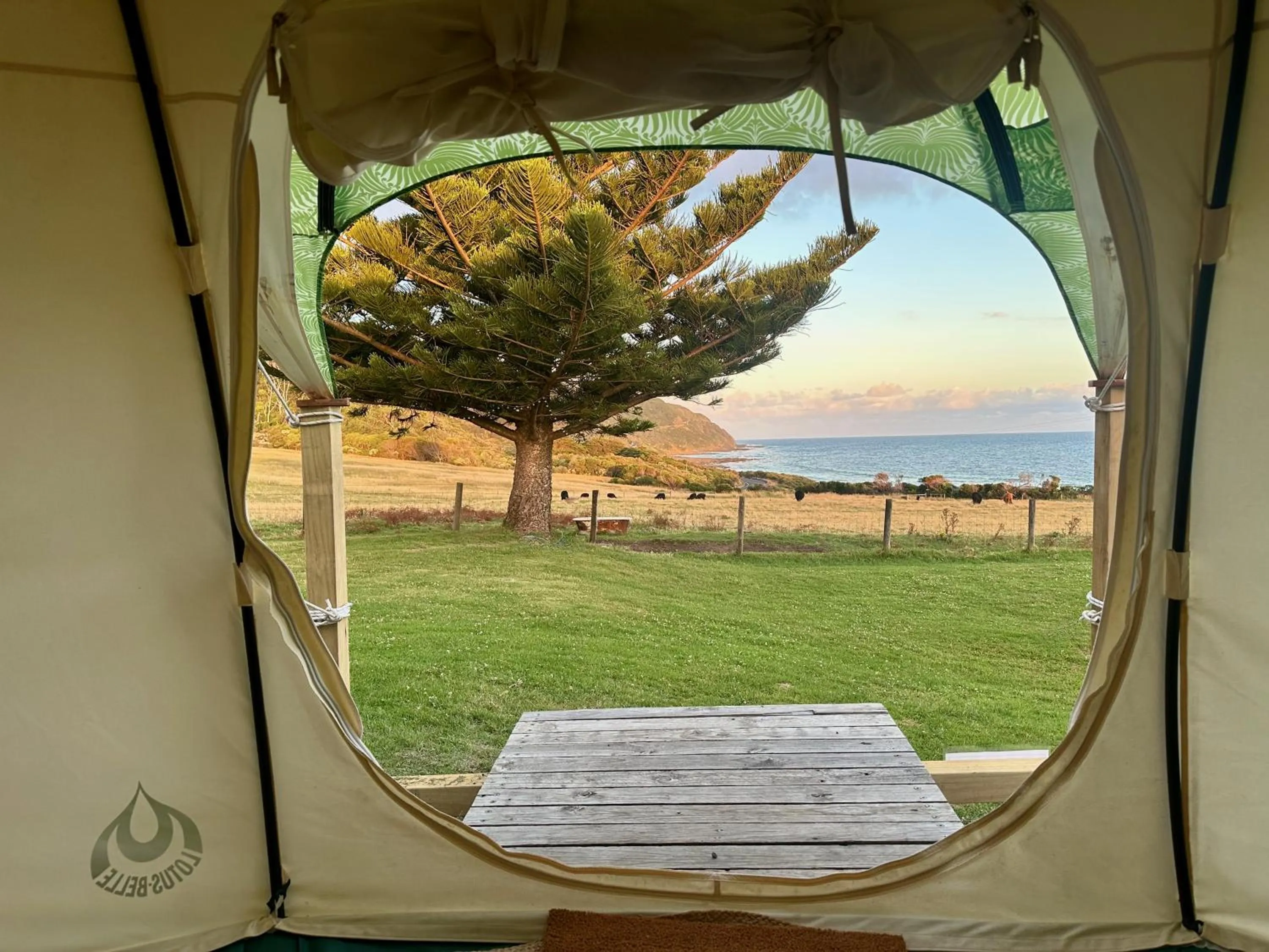 View (from property/room) in Seacroft Estate