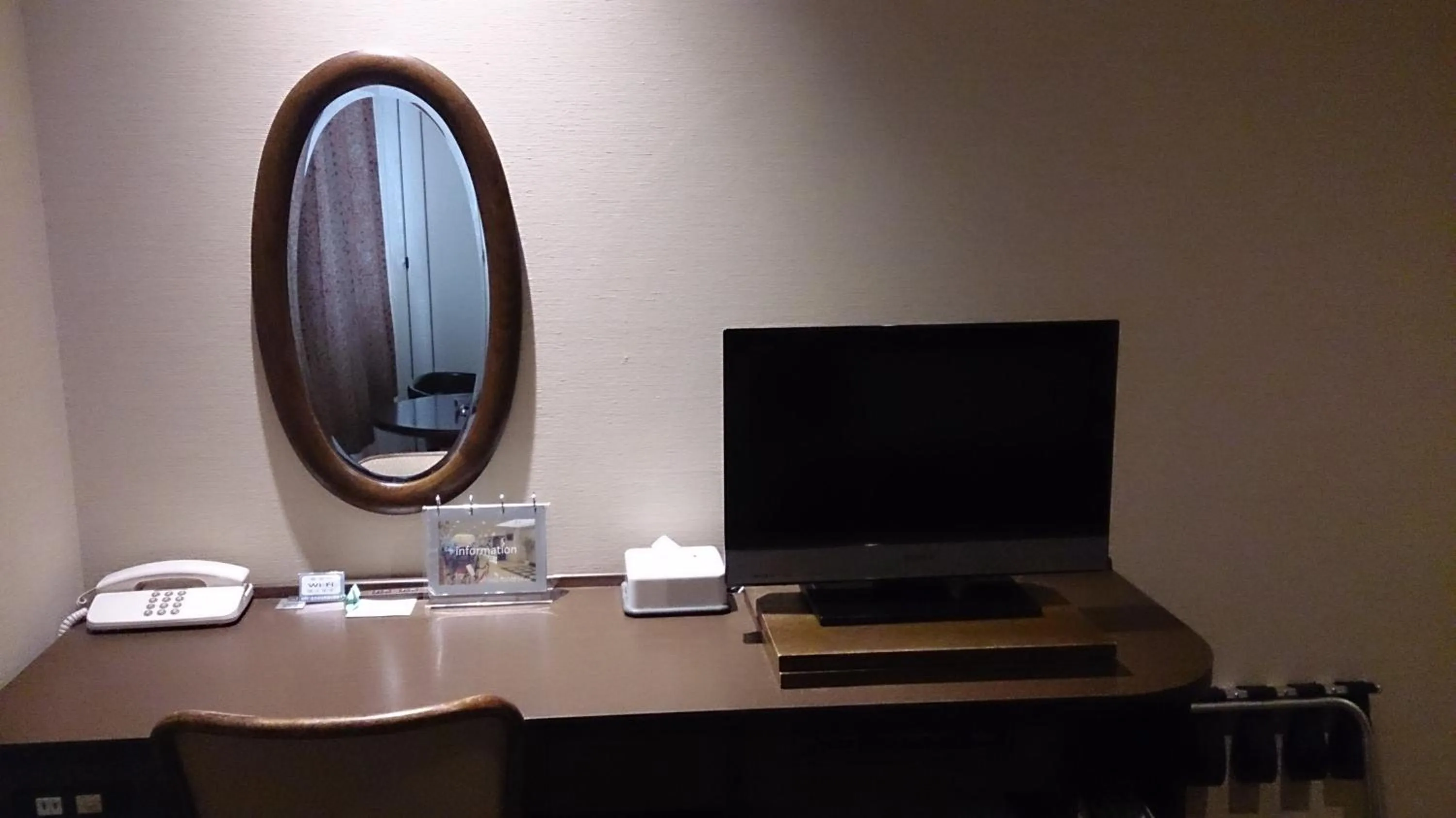 TV and multimedia in Asakusa Central Hotel