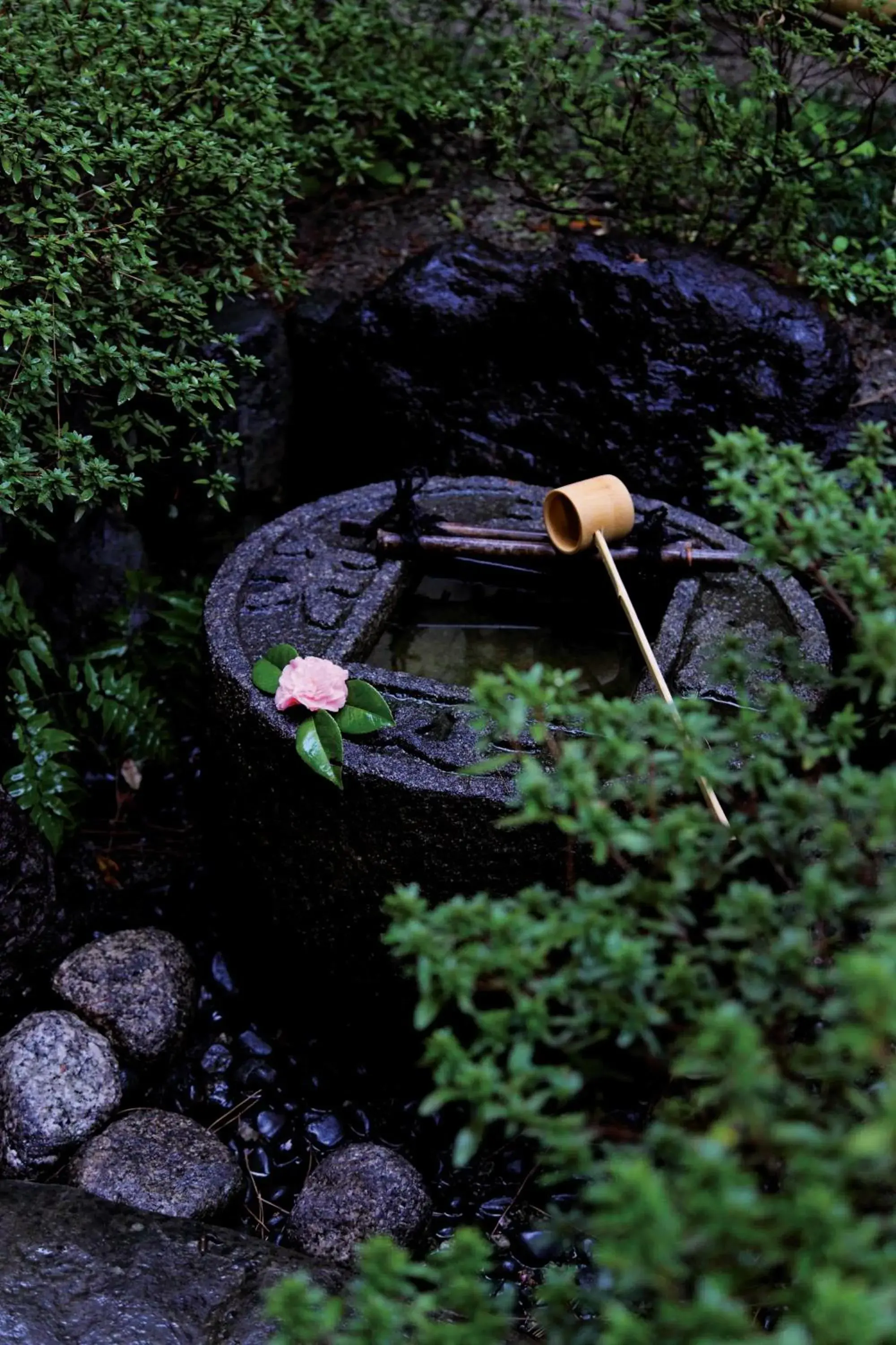 Garden in Matsui Honkan Inn