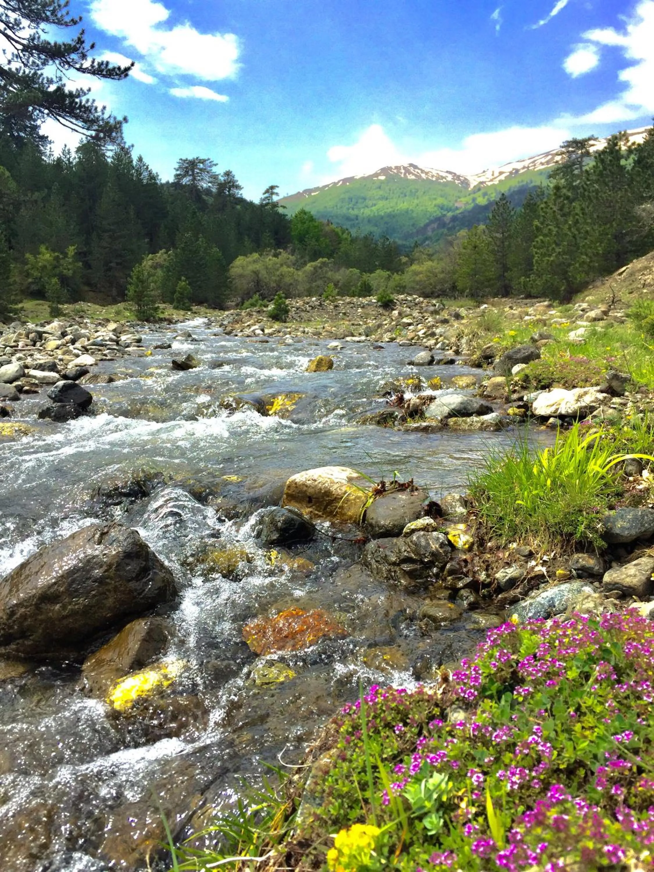 Valia Nostra Escape Hotel