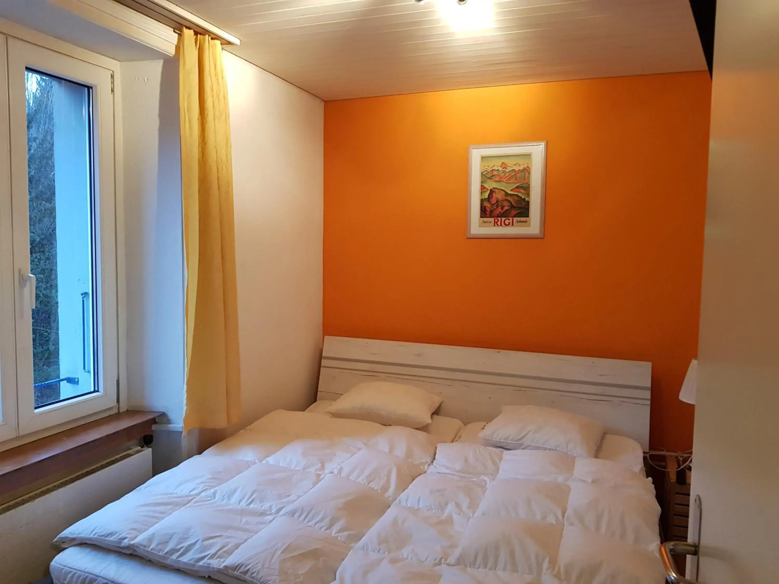 Bed in Bellpark Hostel Bed in Bellpark Hostel