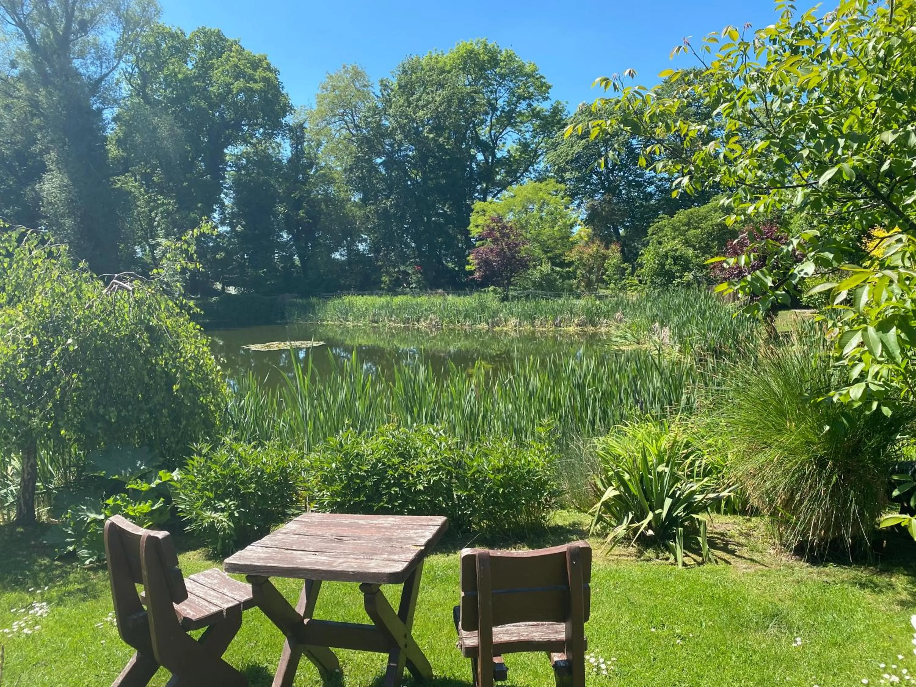 Garden in Jagdschloss lalendorf