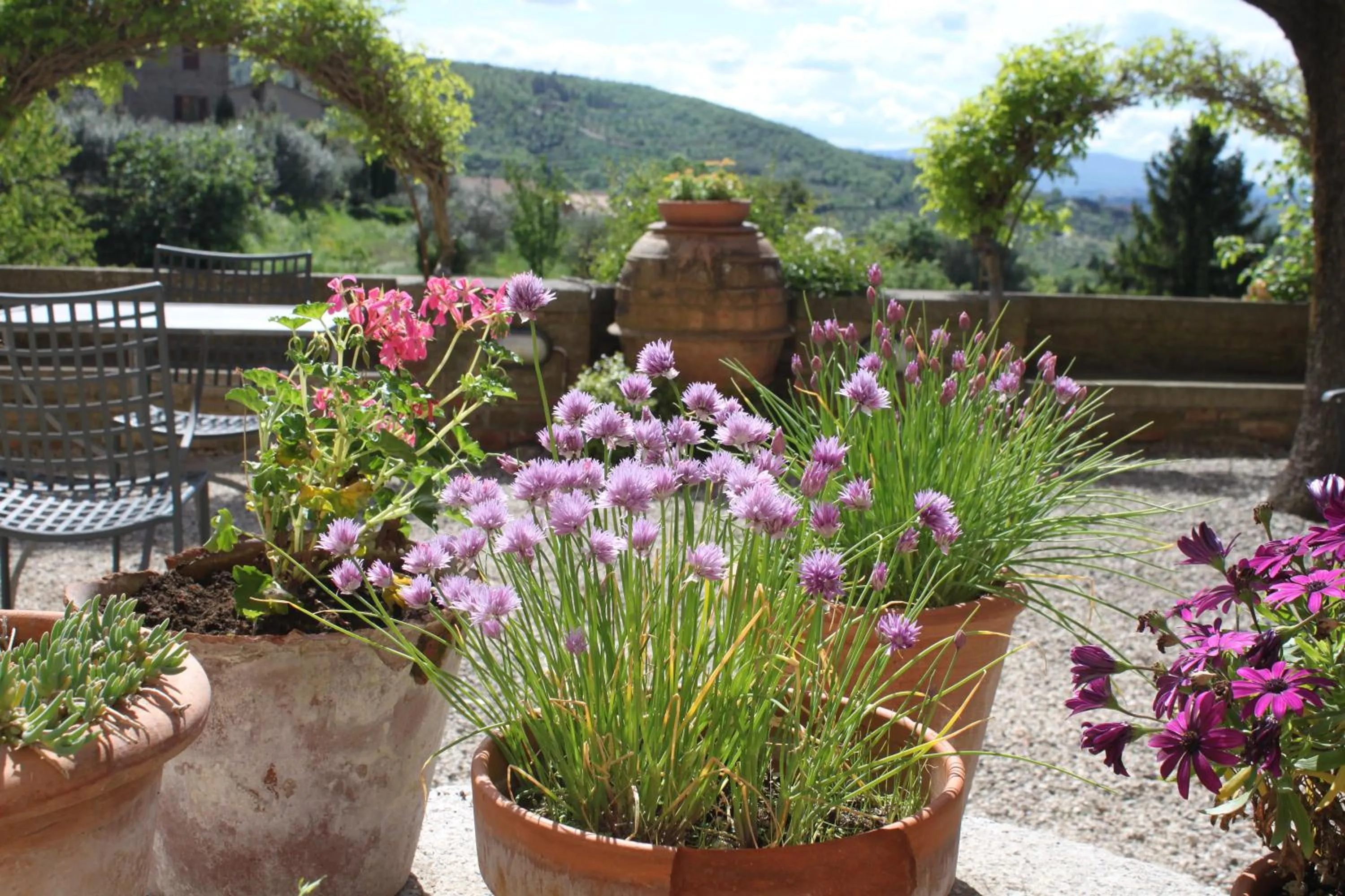 Garden in Relais Mastro Cinghiale