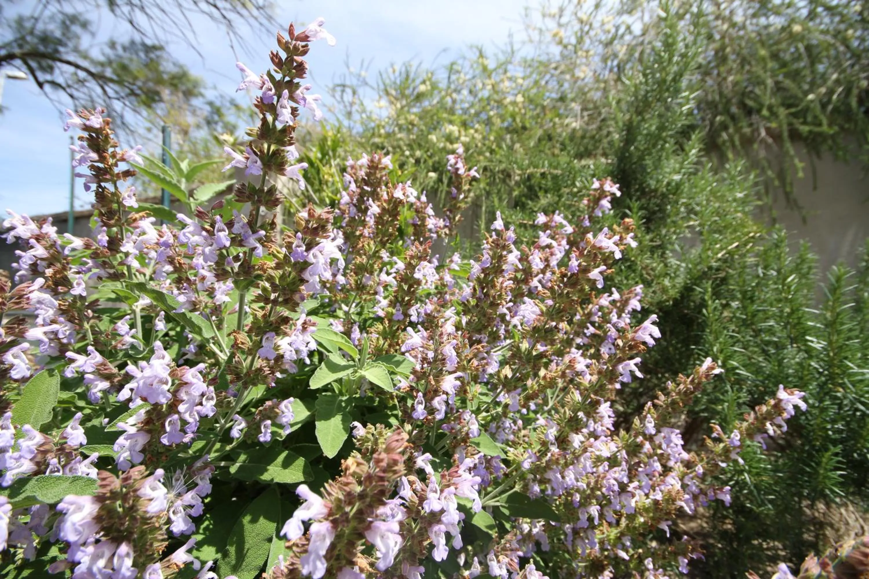 Area and facilities in B&B Santa Gilla