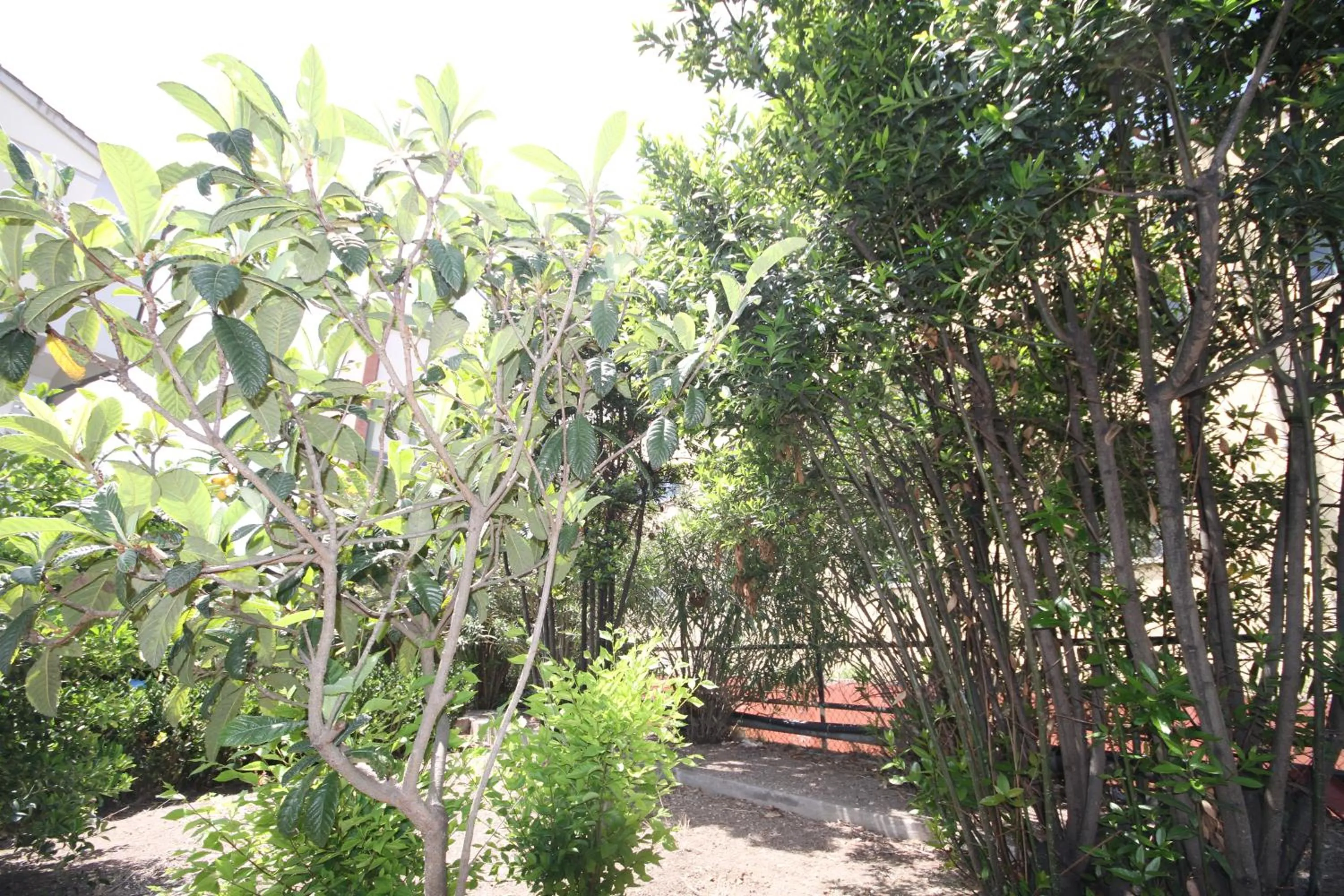 On site in B&B Santa Gilla