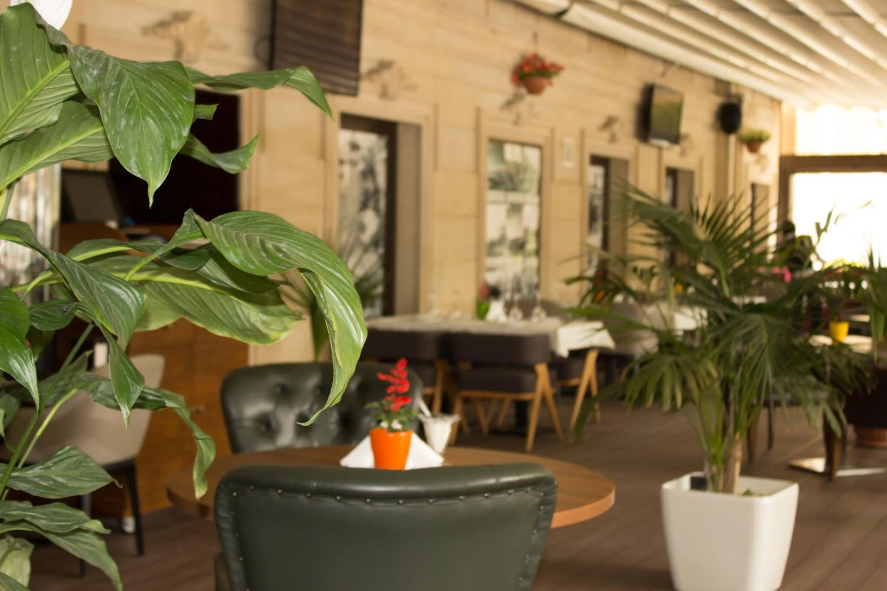 Restaurant/places to eat in Vego Hotel