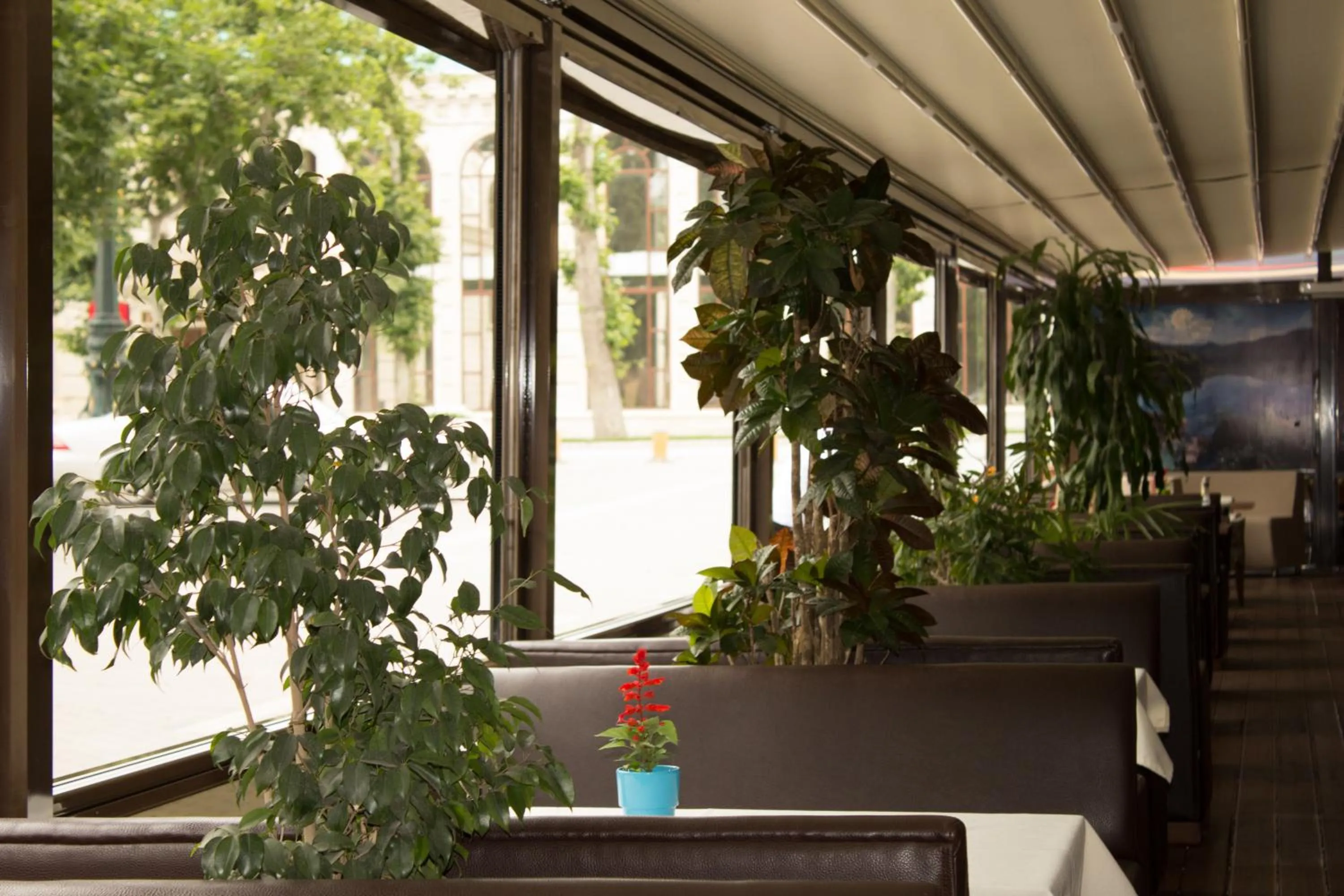 Restaurant/places to eat in Vego Hotel