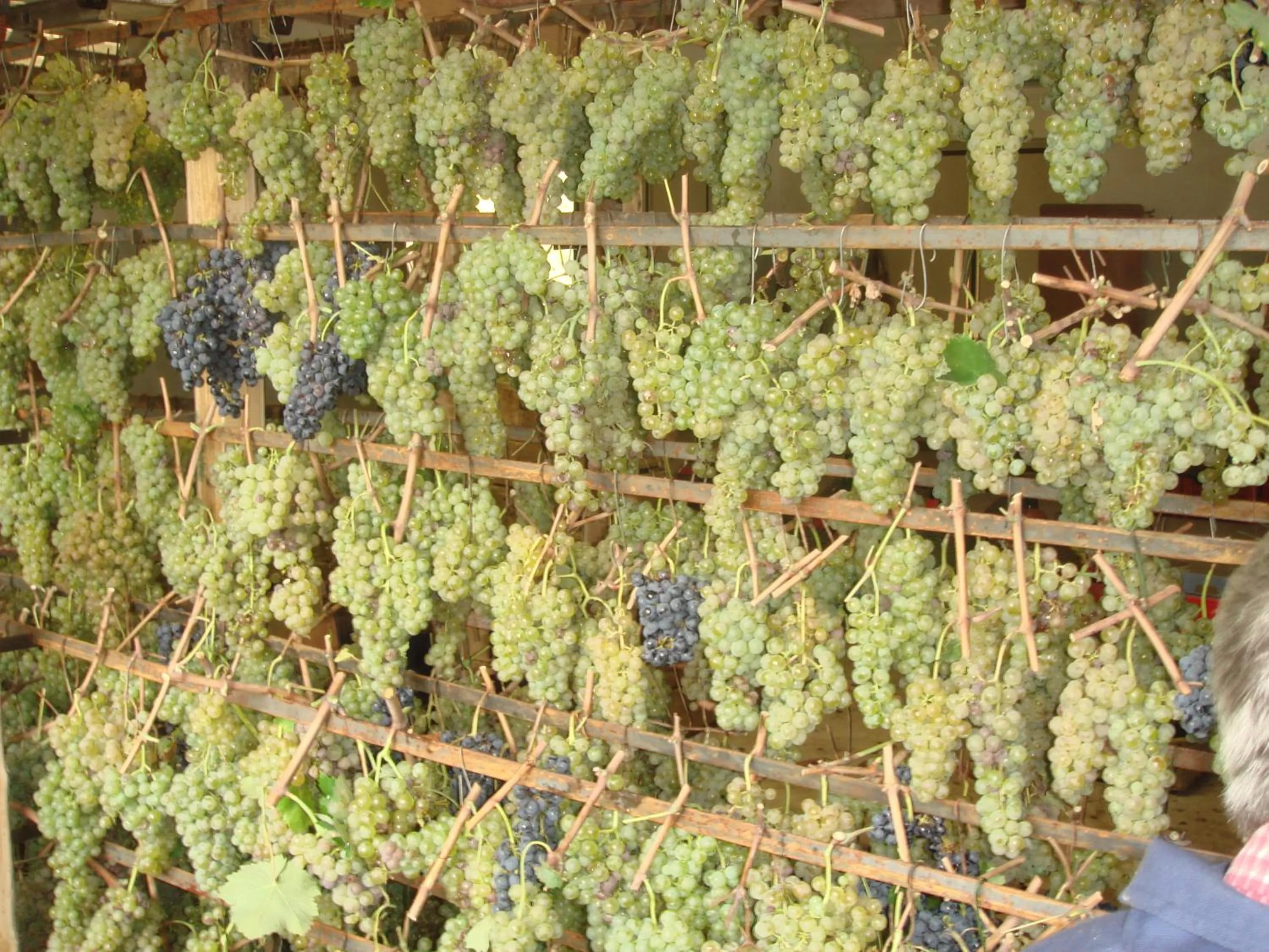 Decorative detail in Relais La Torre