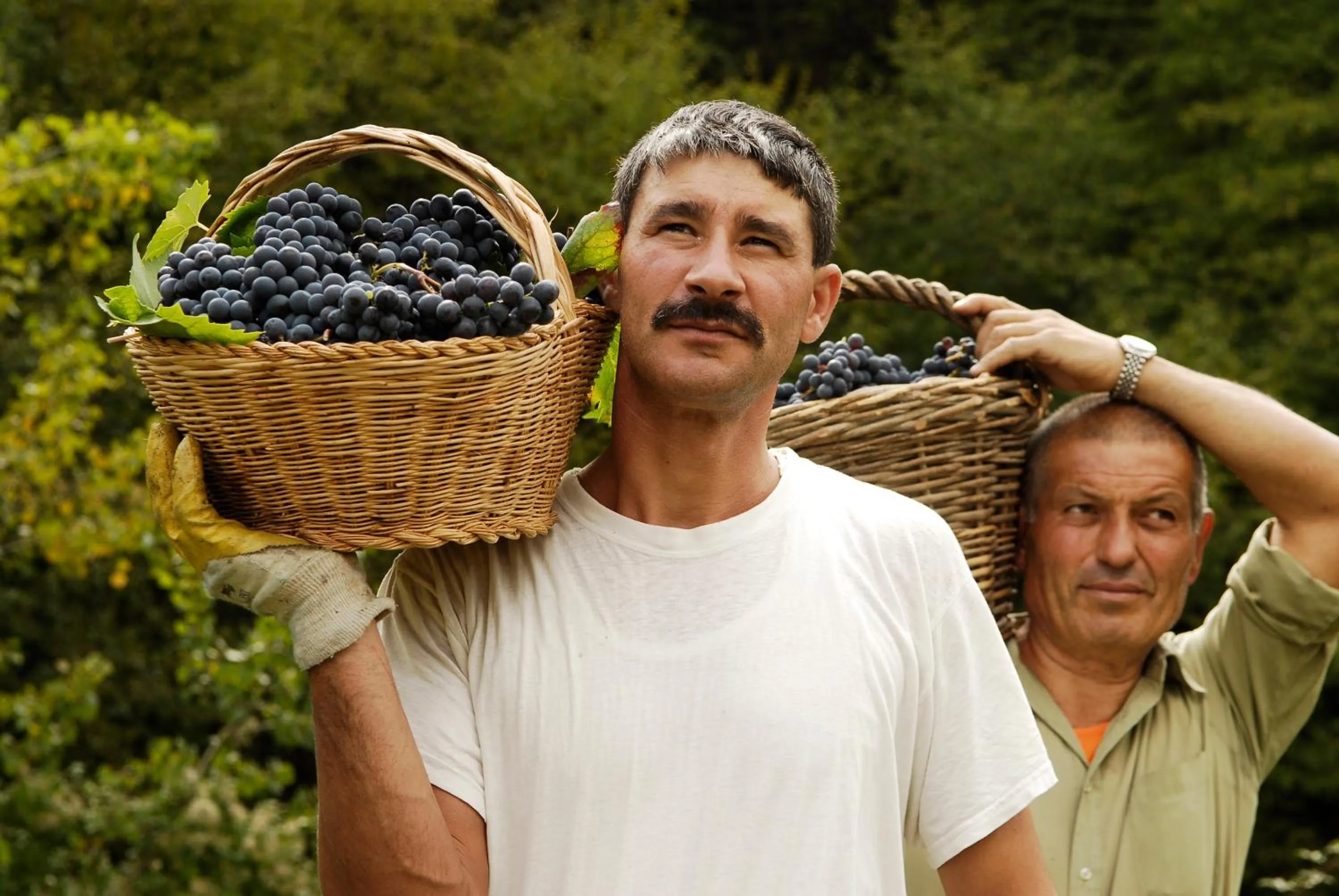 Decorative detail in Relais La Torre