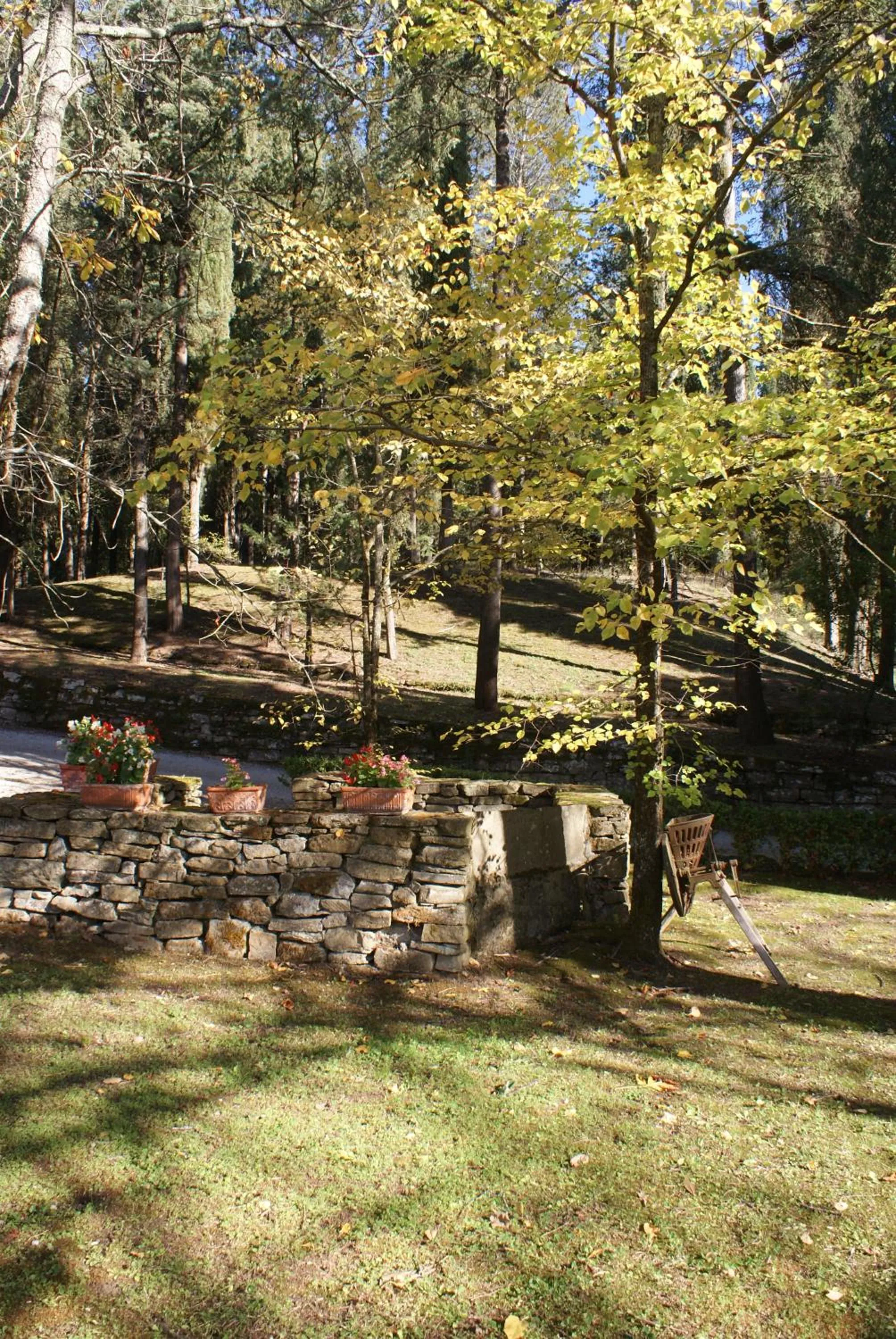 Natural landscape in Relais La Torre