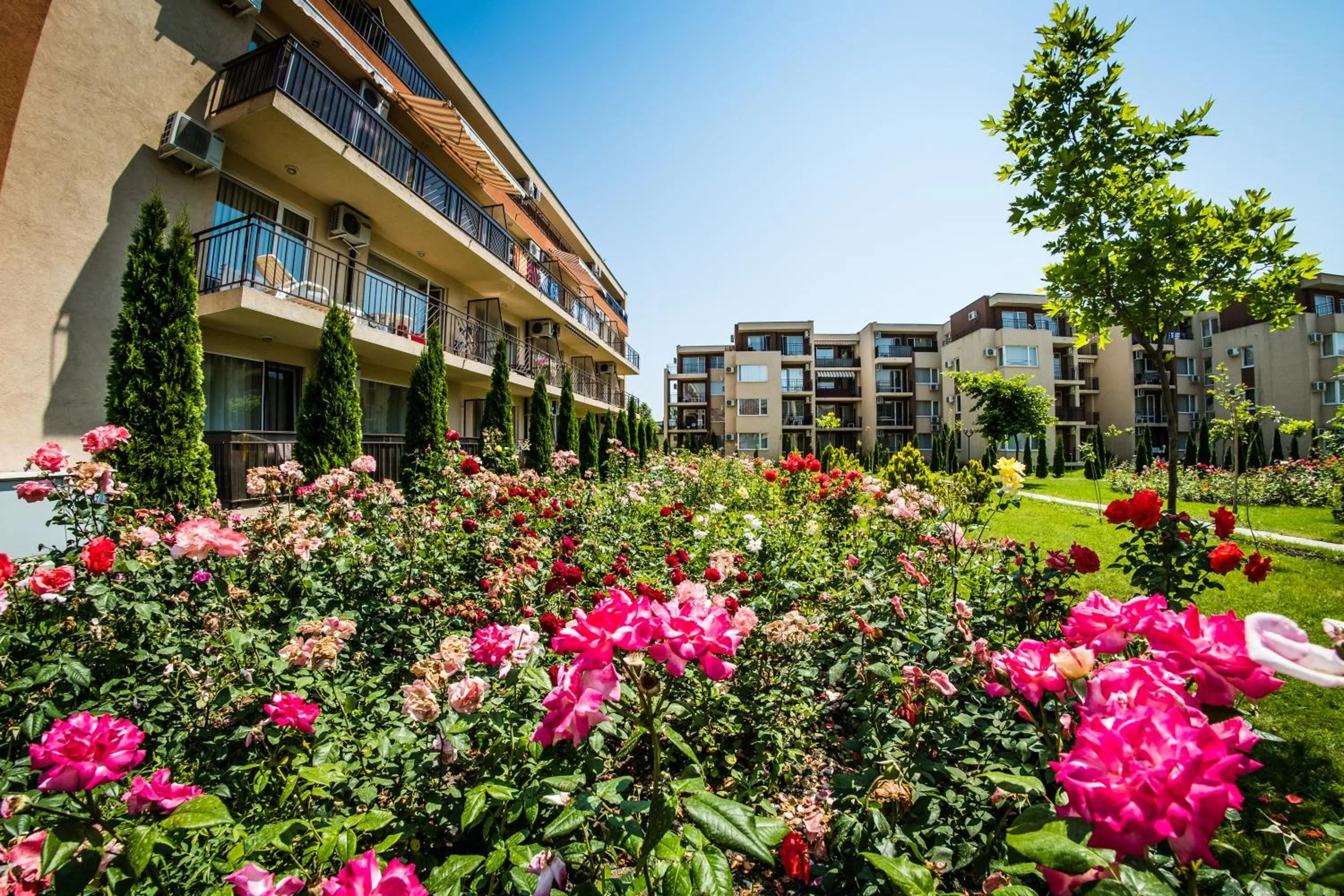 Garden in Orchid Fort Garden
