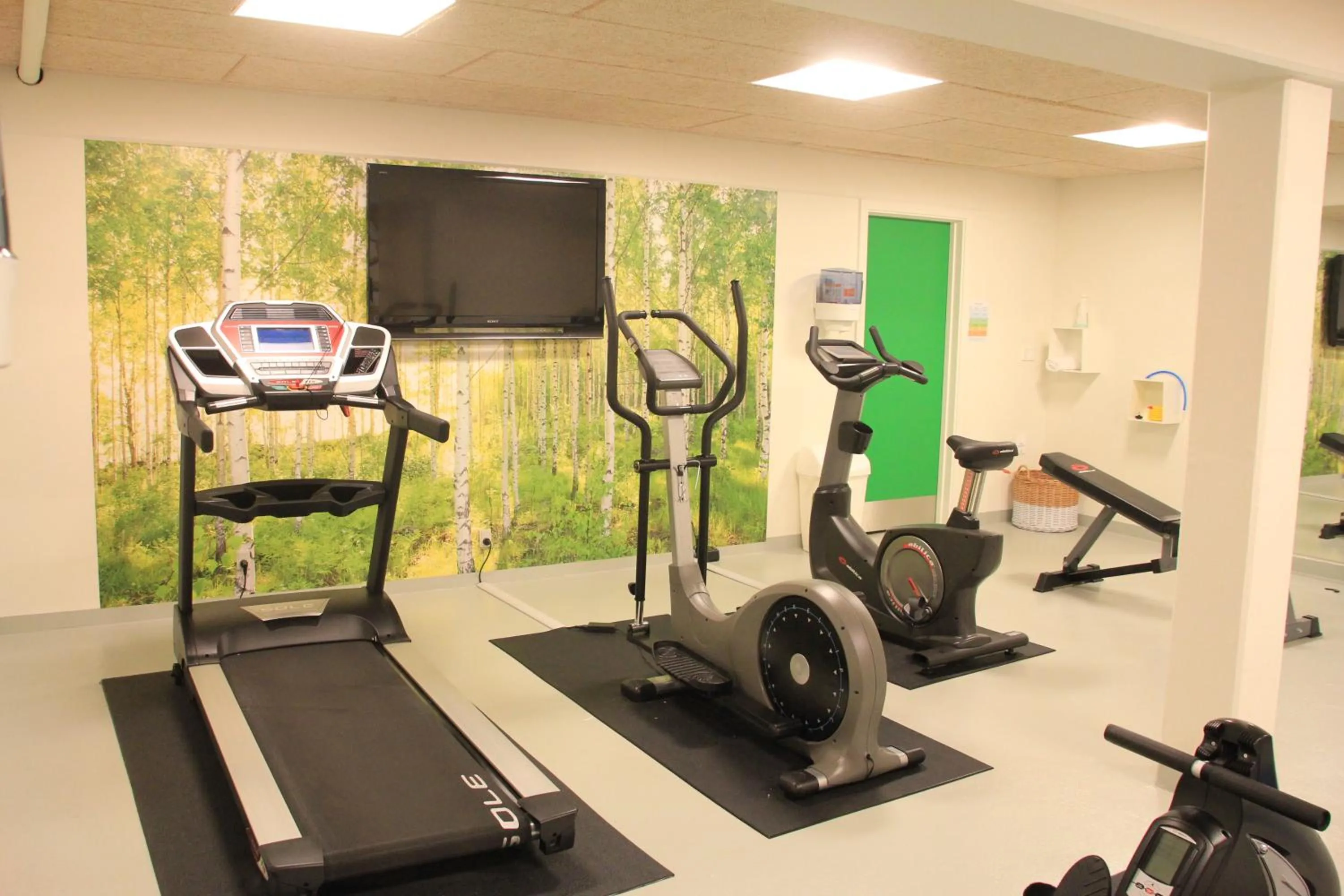 Fitness centre/facilities in HORISONT Hotel & Konference