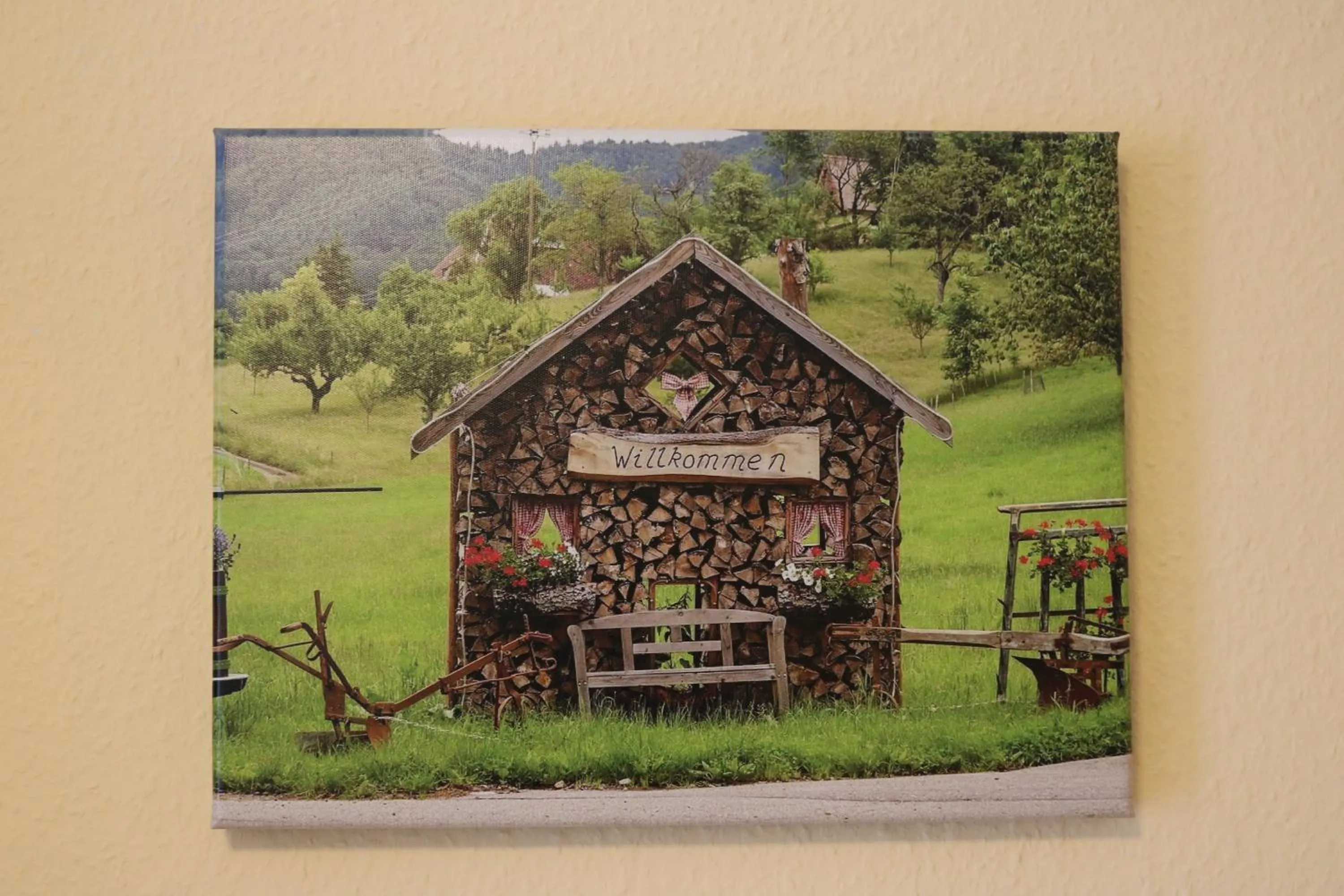 Area and facilities in Hotel Brigitte