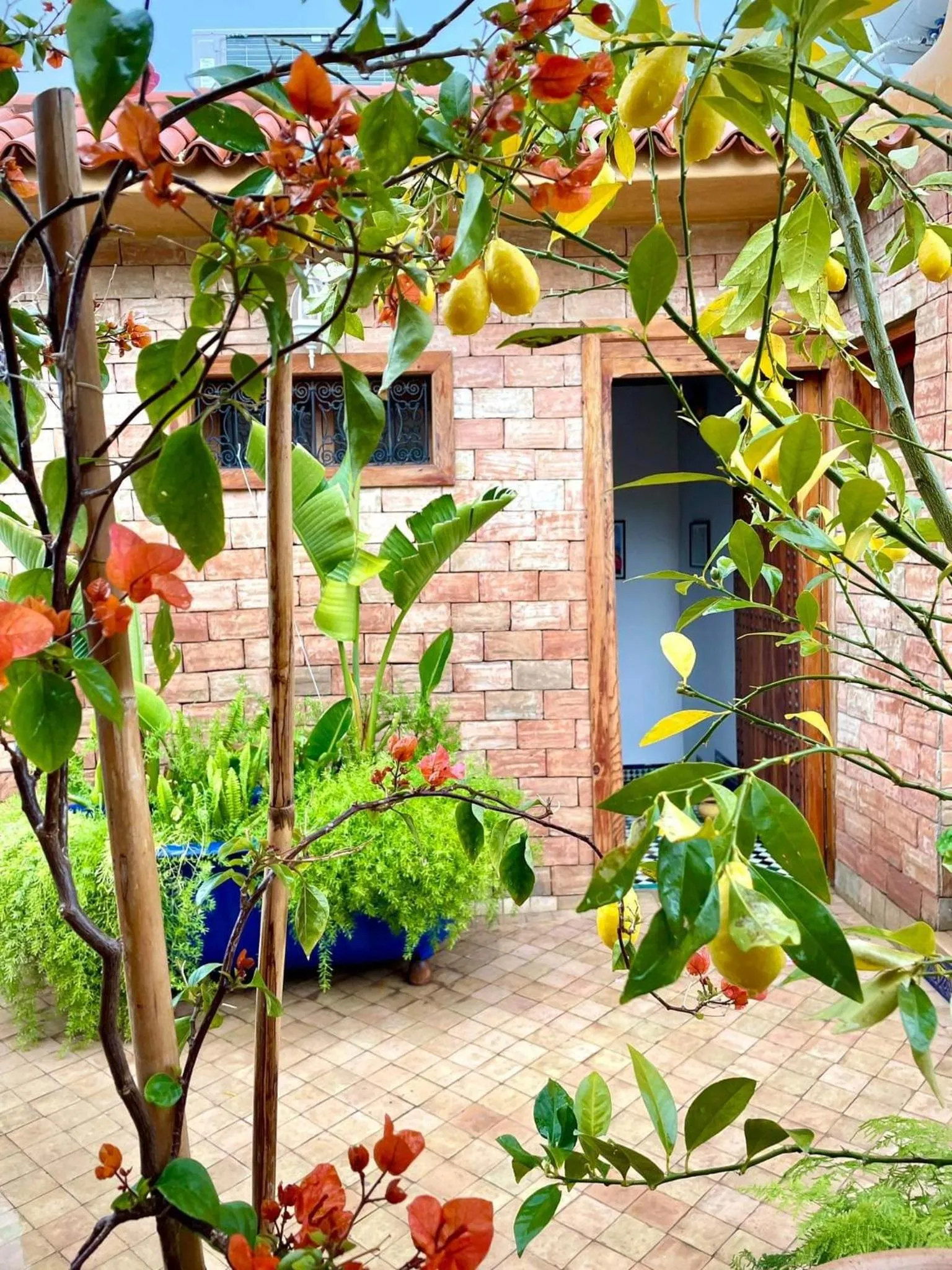 Riad Moulaydriss et Giacomo