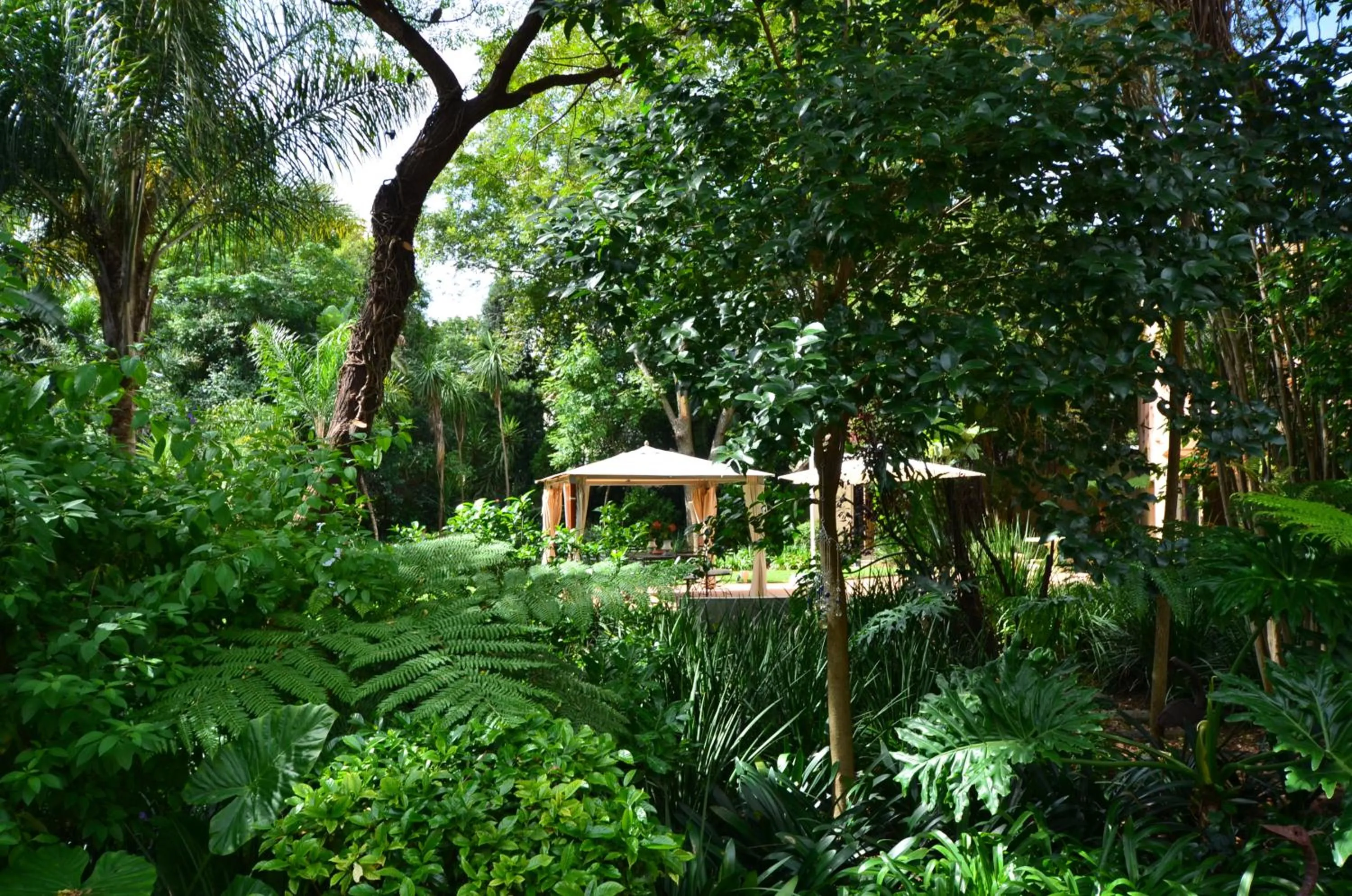 Garden view in Summerview Boutique Hotel & Conference