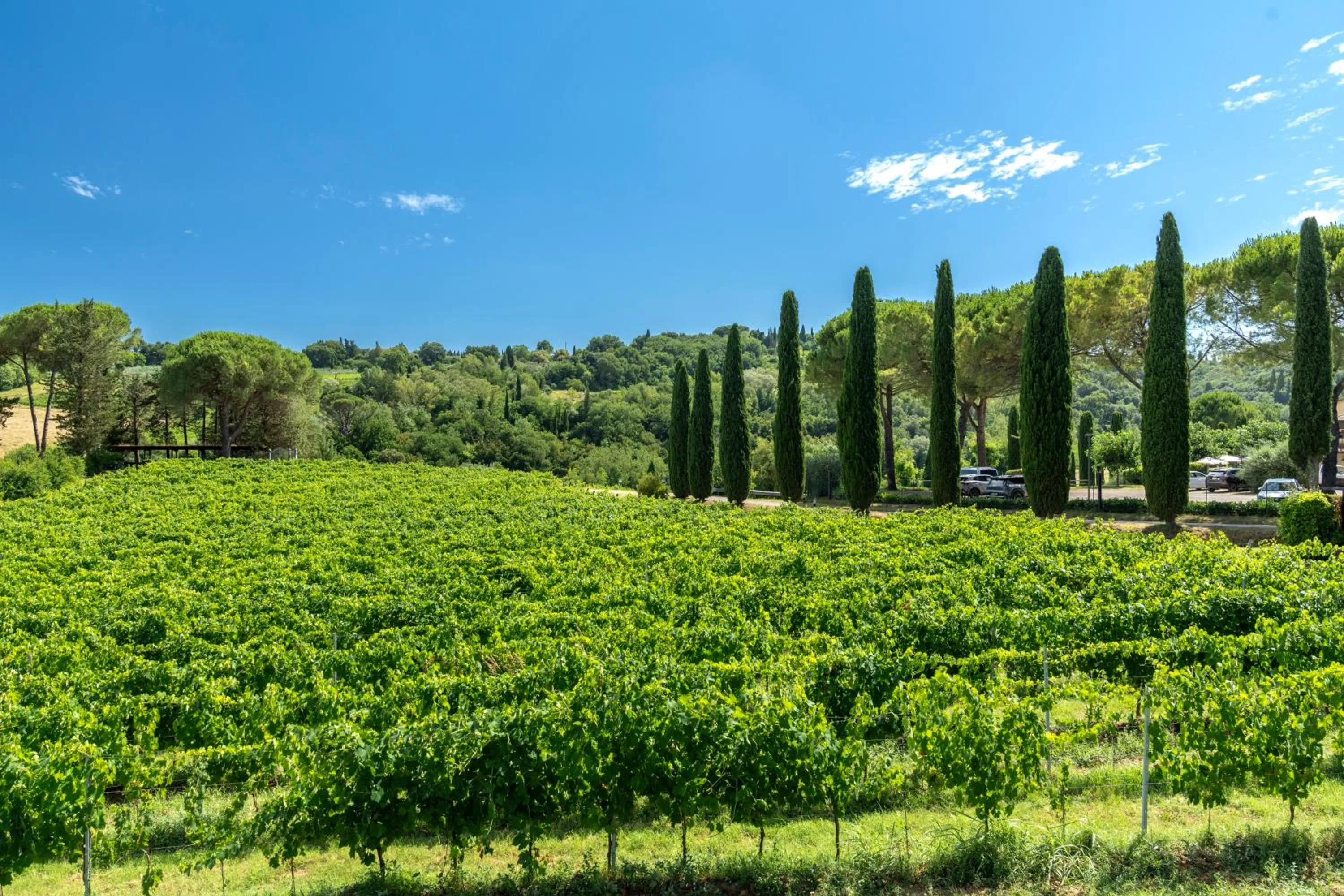 View (from property/room) in Hotel Sovestro