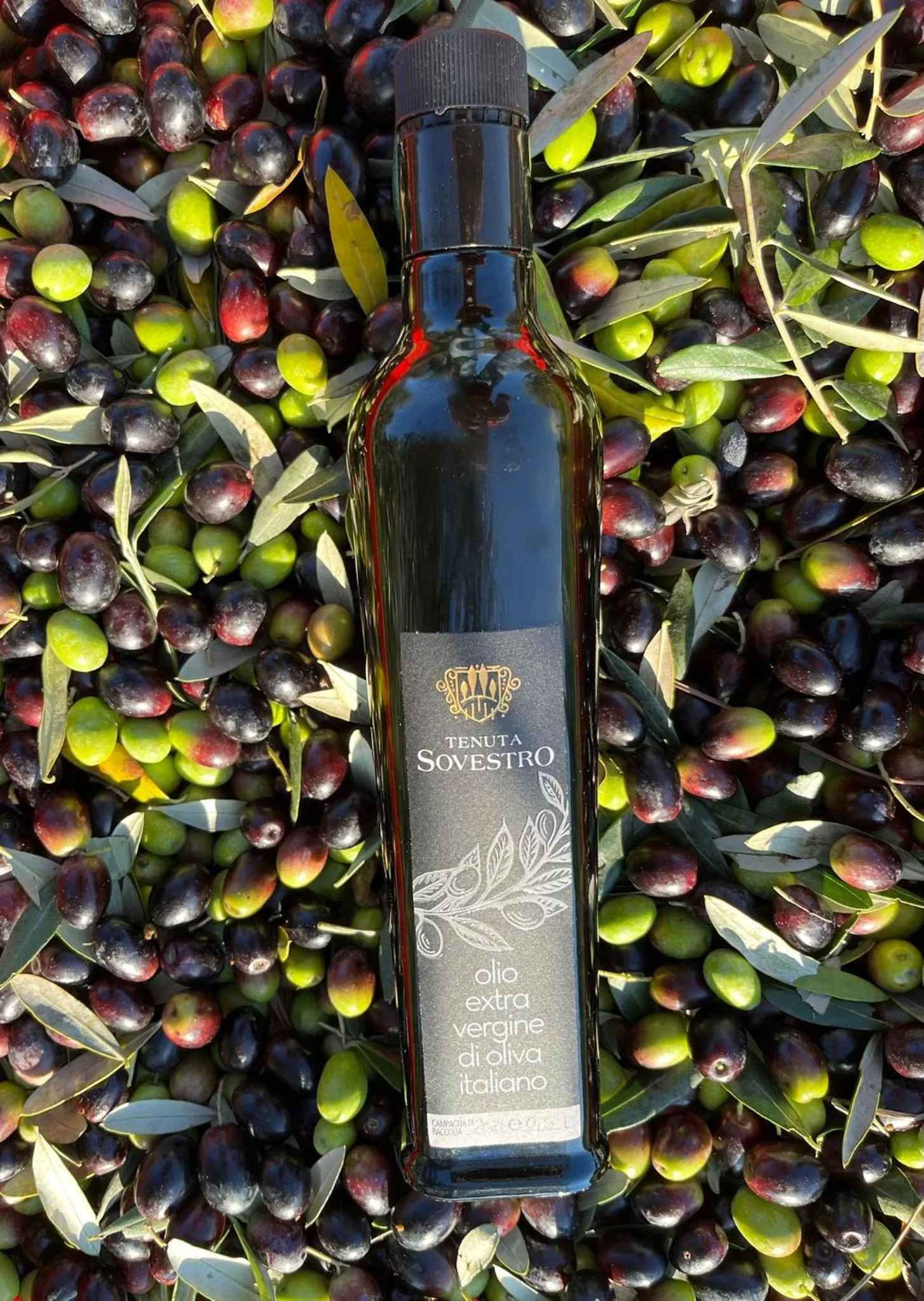 Activities in Hotel Sovestro