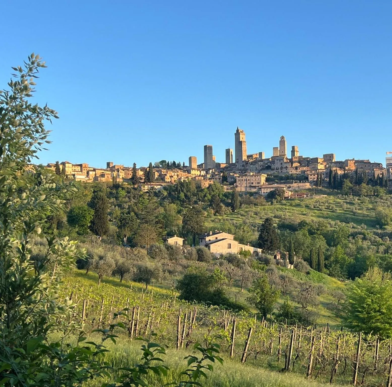 Activities in Hotel Sovestro