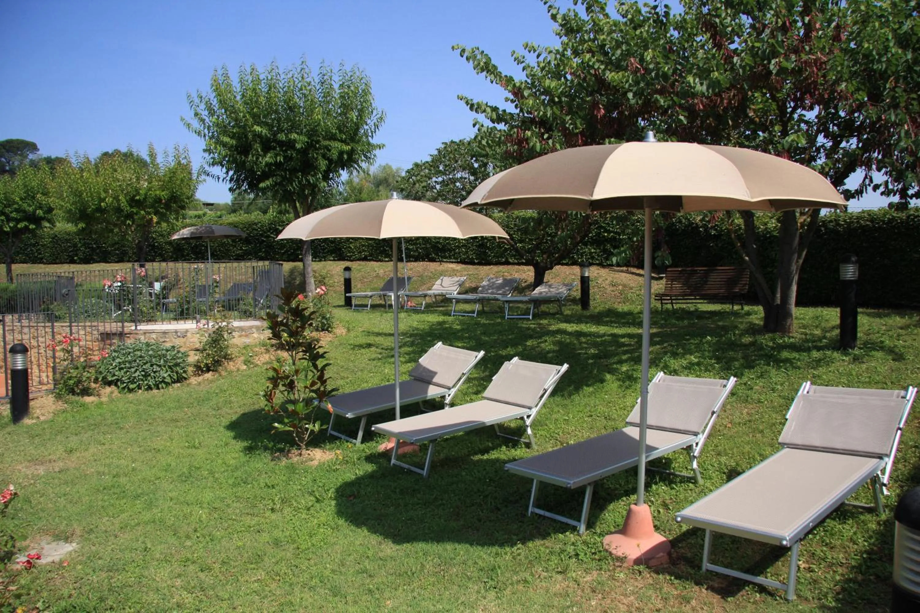 Garden in Hotel Sovestro