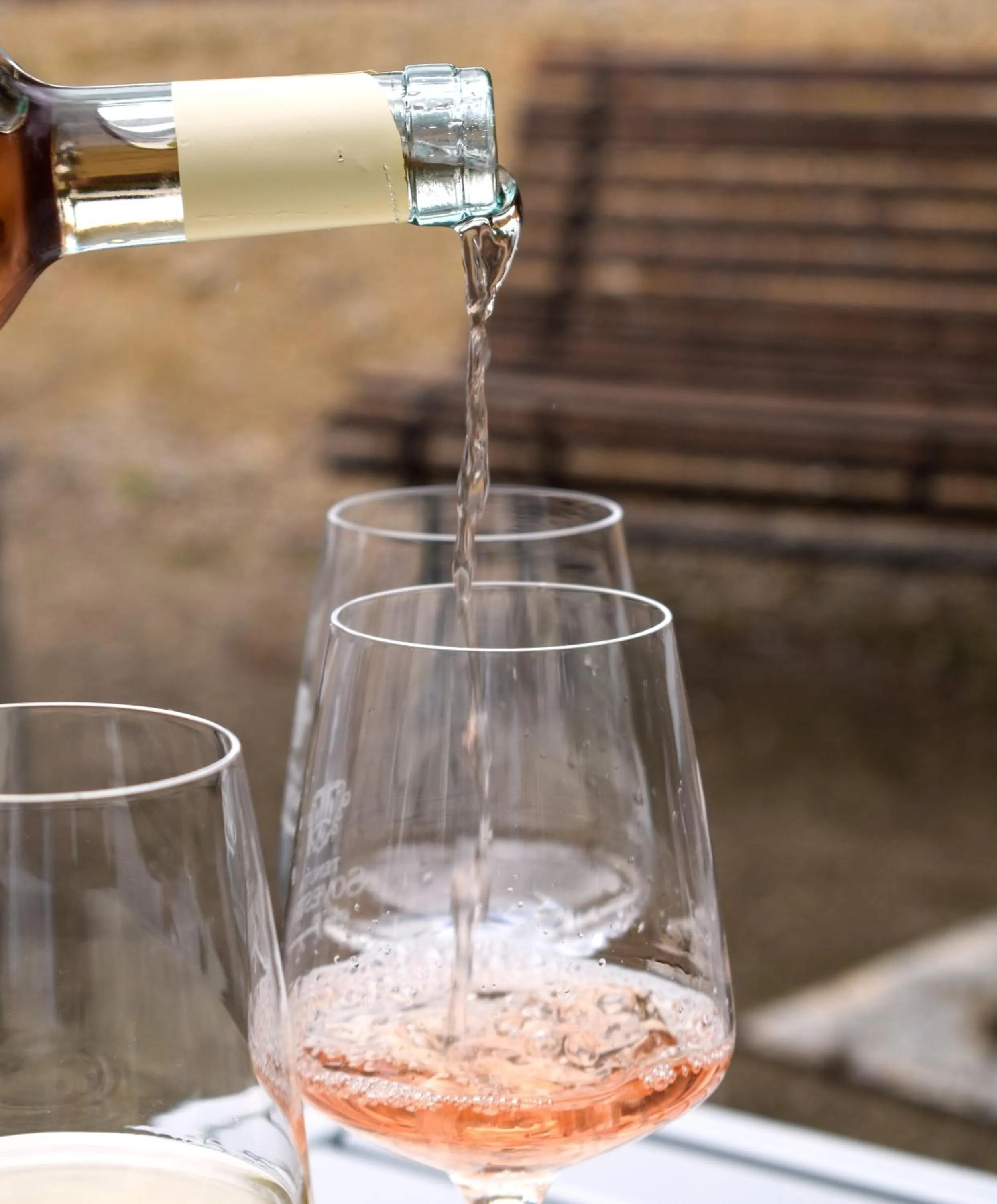 Activities in Hotel Sovestro